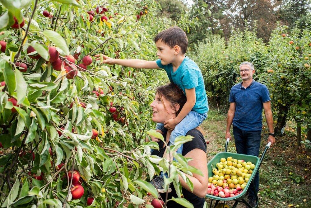 Cueillette de l'Aragnon