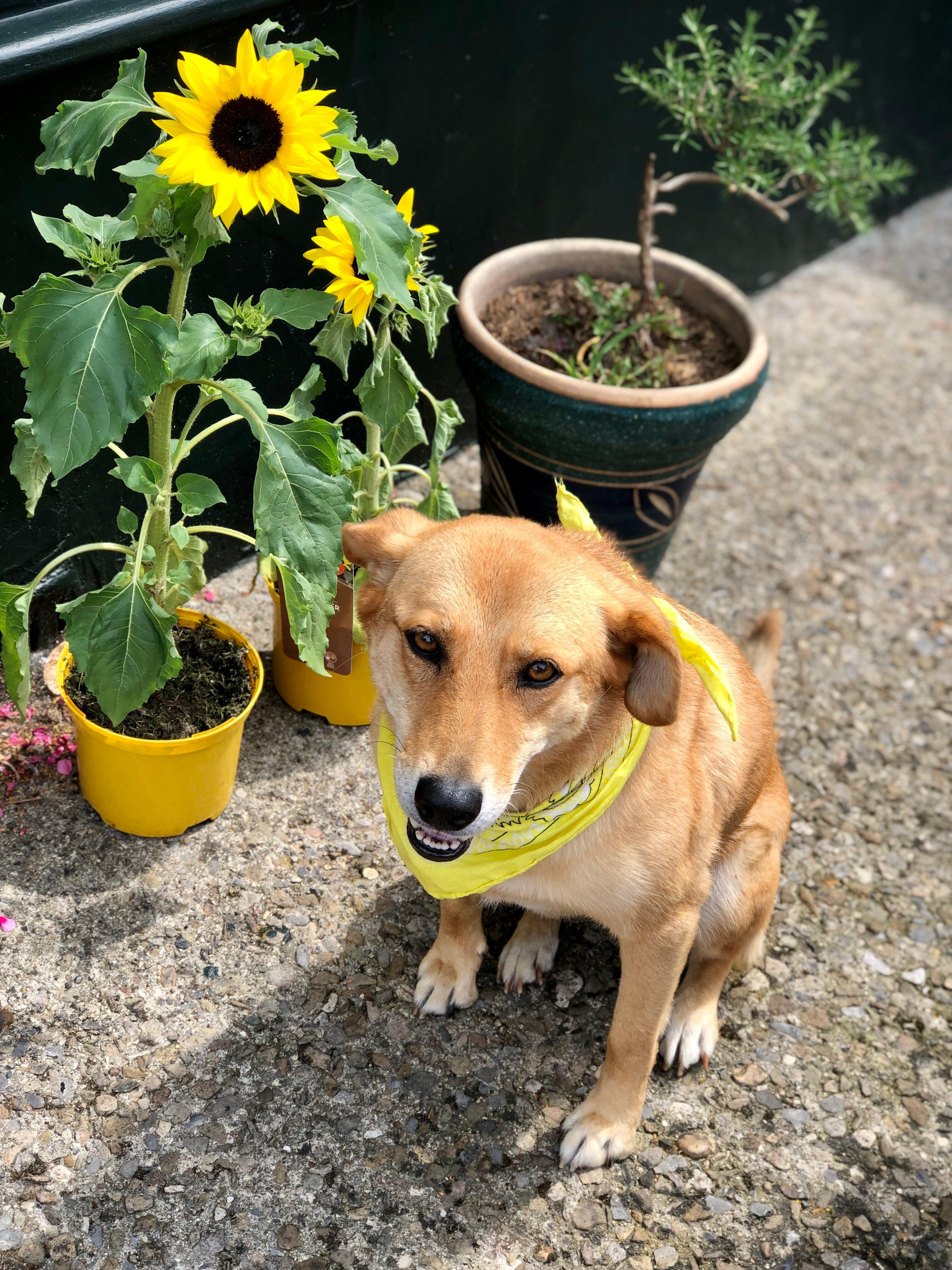 Nourish Plant Kitchen