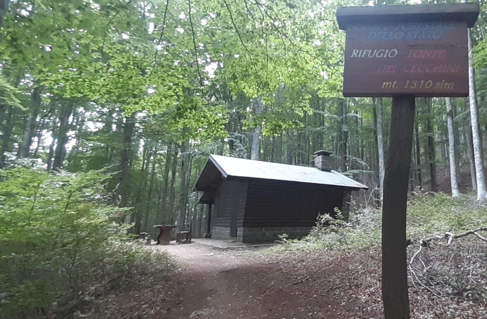 Foresta Biogenetica Di Pian Di Novello