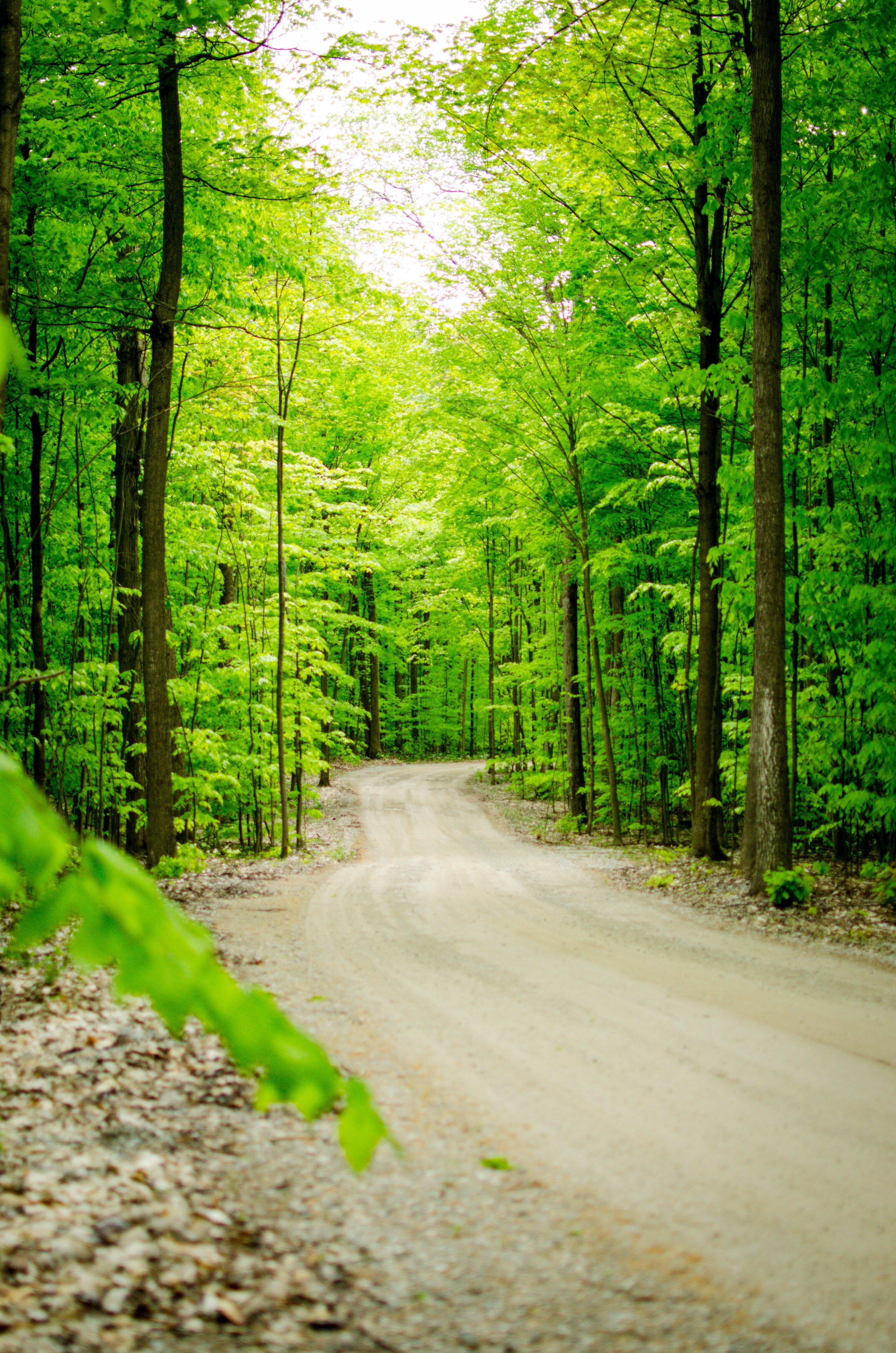 Vicki Tree Yoga and Wellness