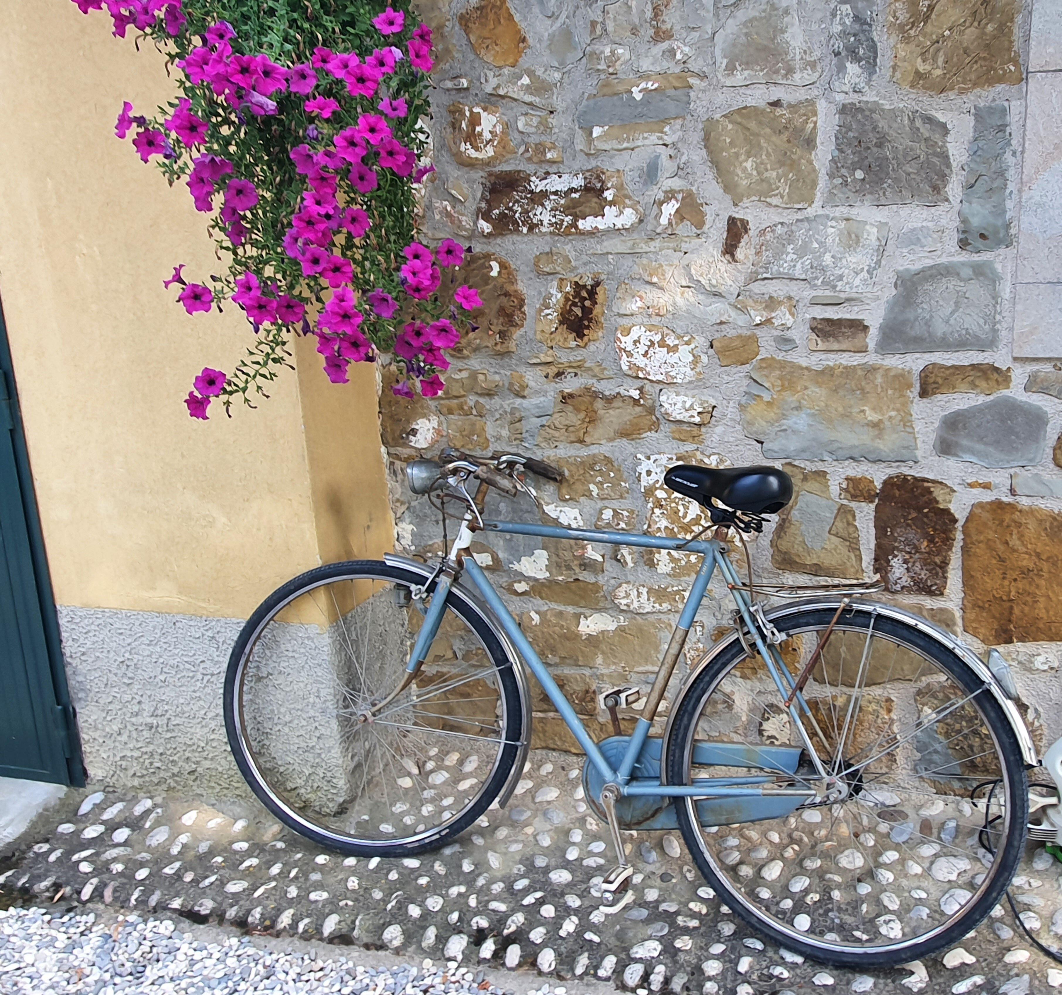 Weingut Thomas Kitzmueller