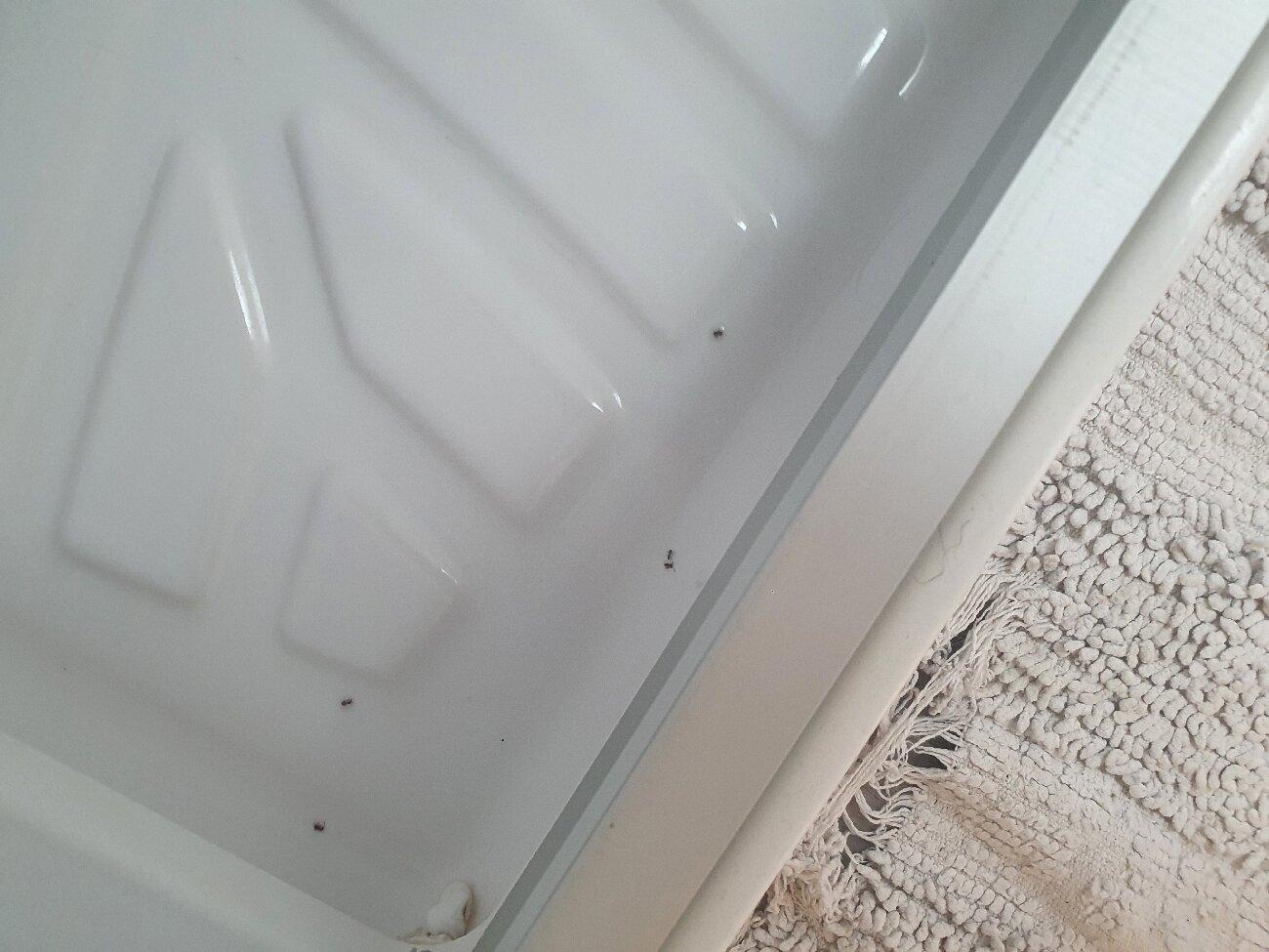 Camping Les Tropiques - Maeva