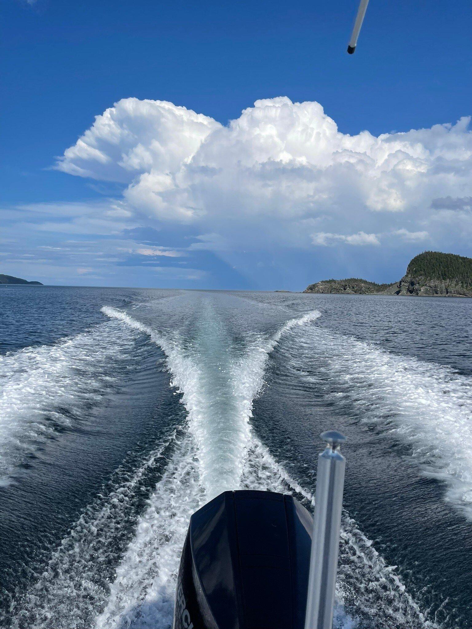 Badger Bay Boat Tours