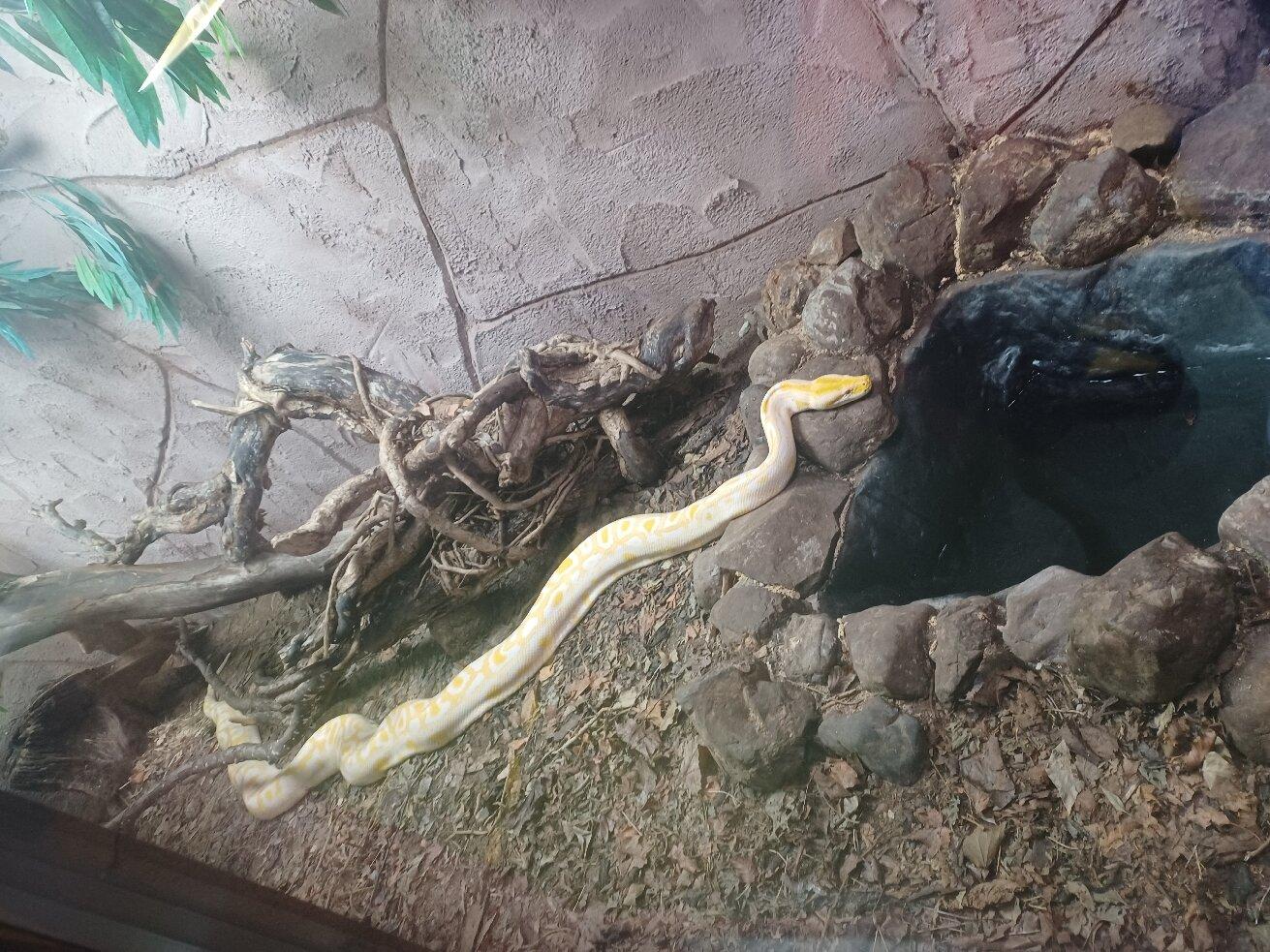 The National Reptile Zoo