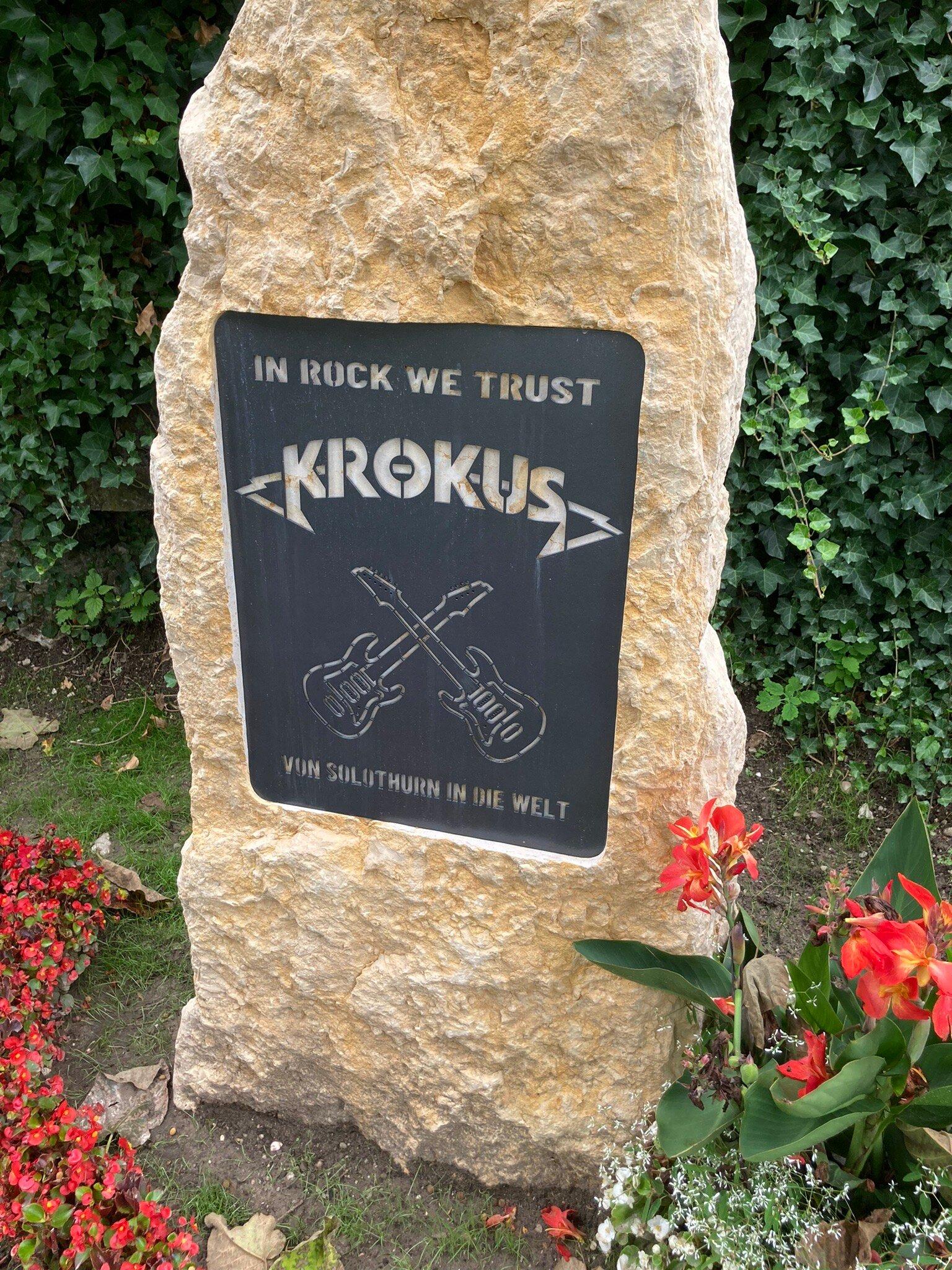 Krokus Ehrenstein