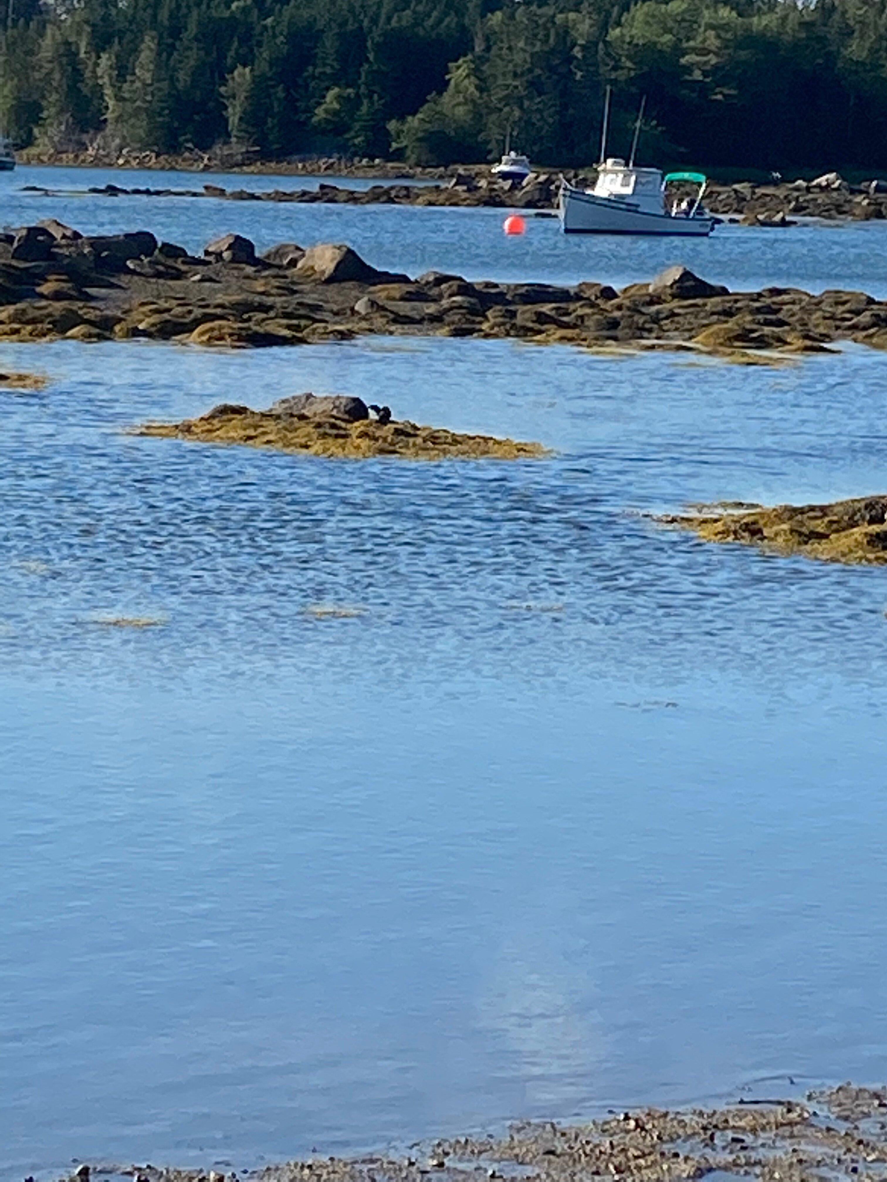 Wayside Camping Park