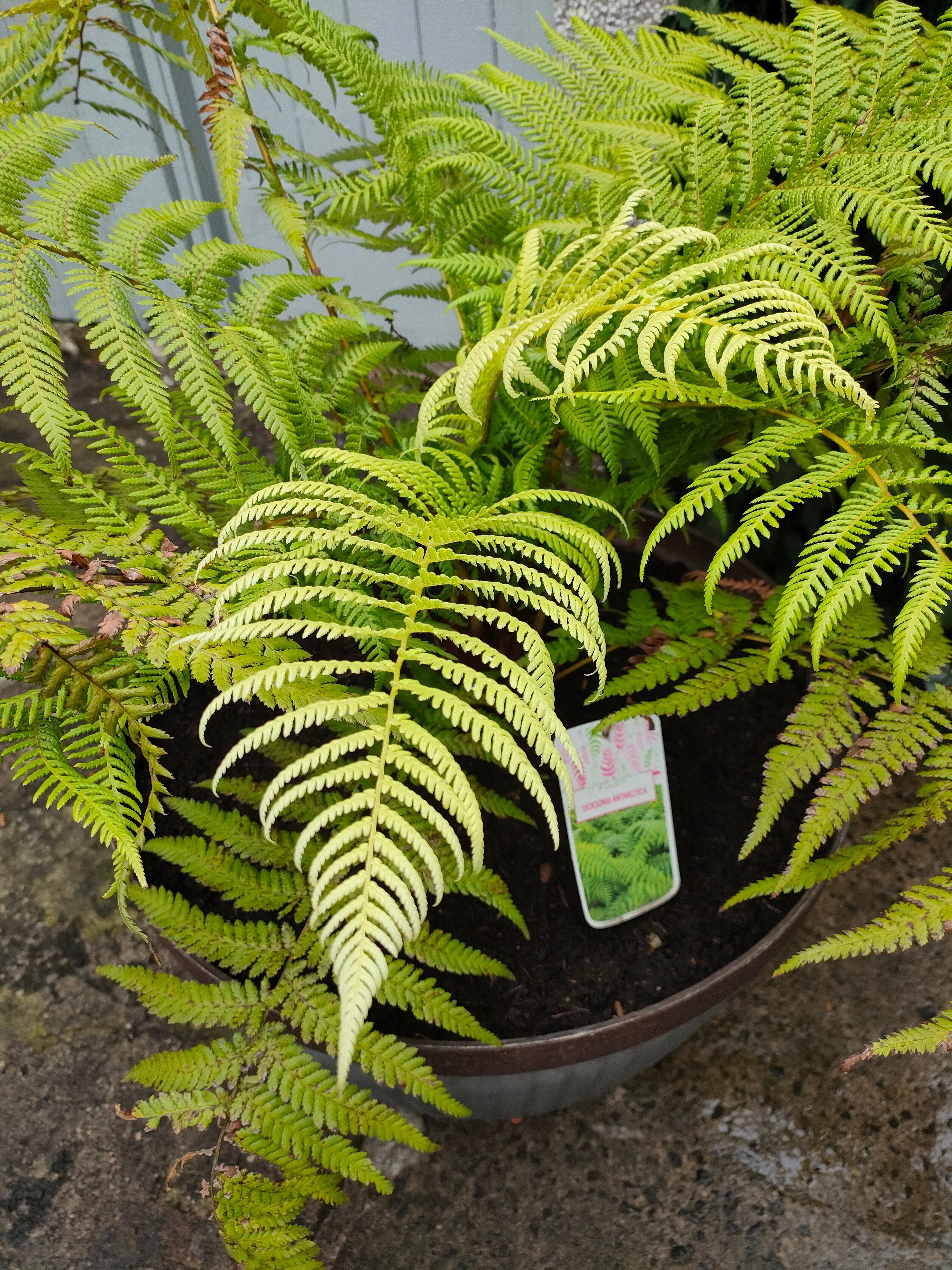 Photo by O8613CXtraceyr