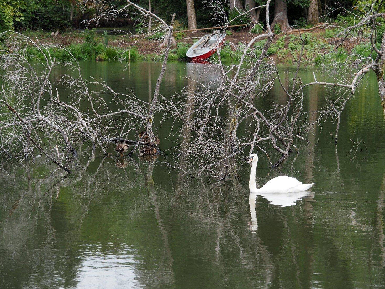 Hotel Waldschlosschen