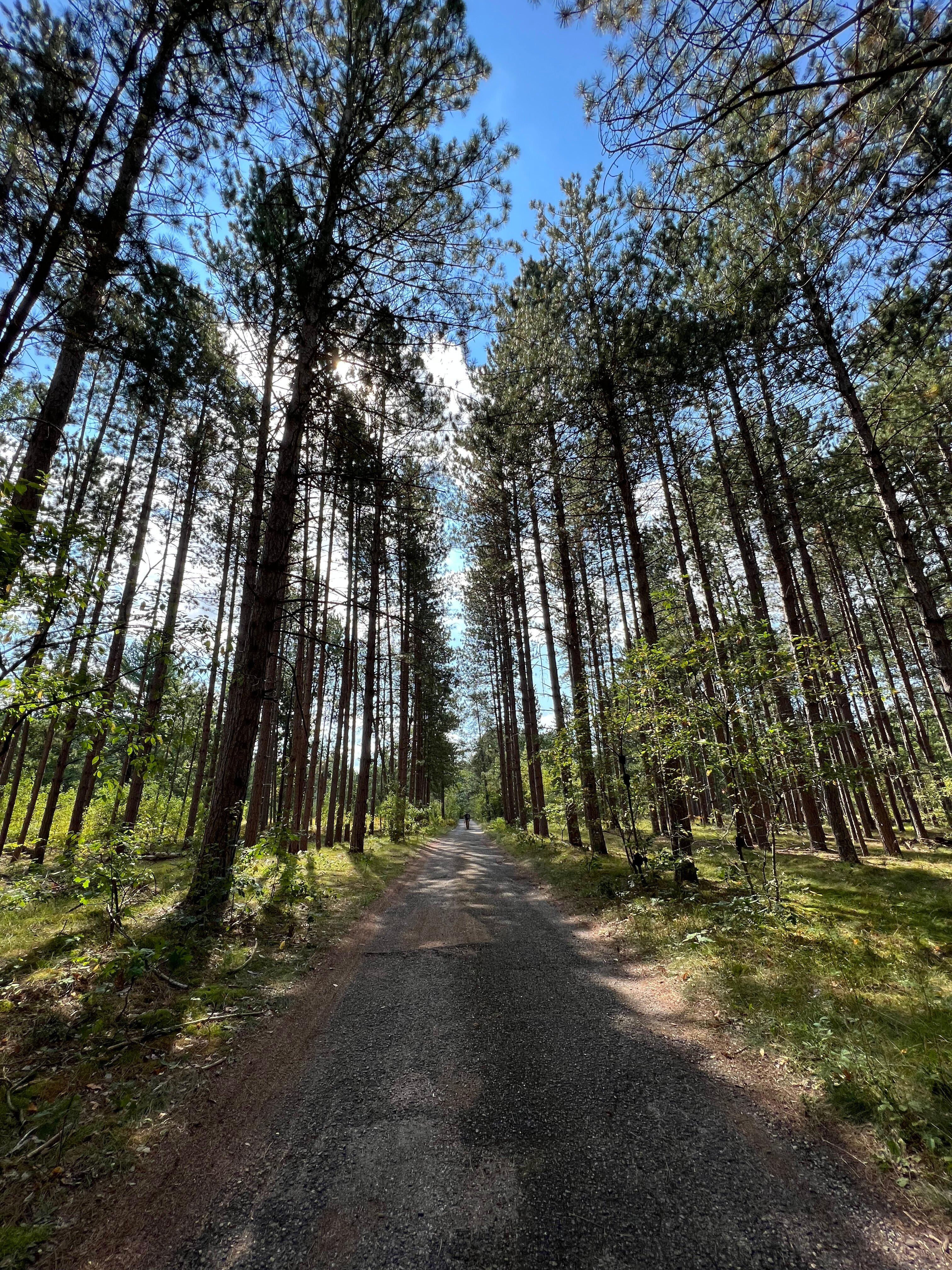 Rayburn Property Trail