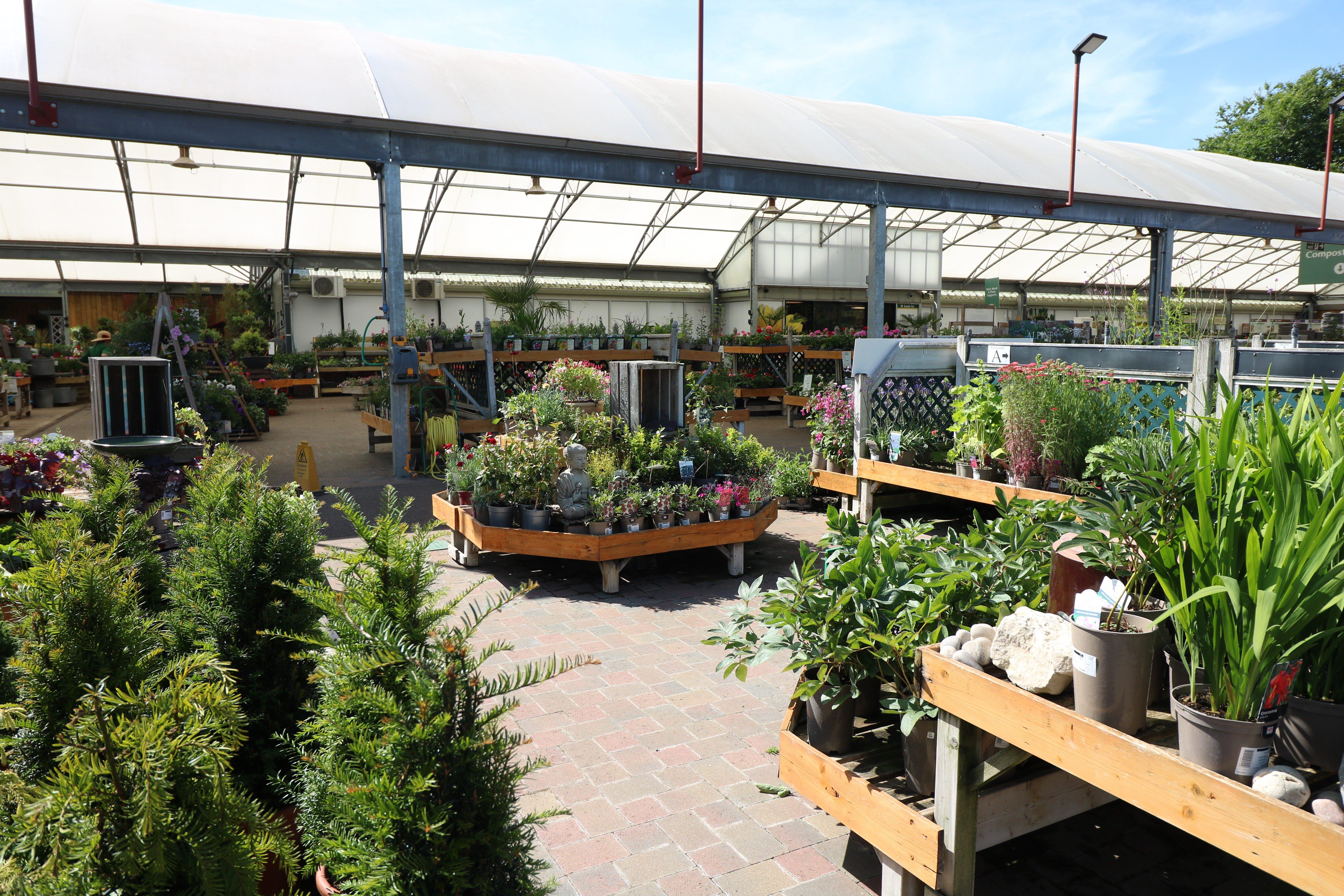 Scotsdales Sunflower Cafe Horningsea