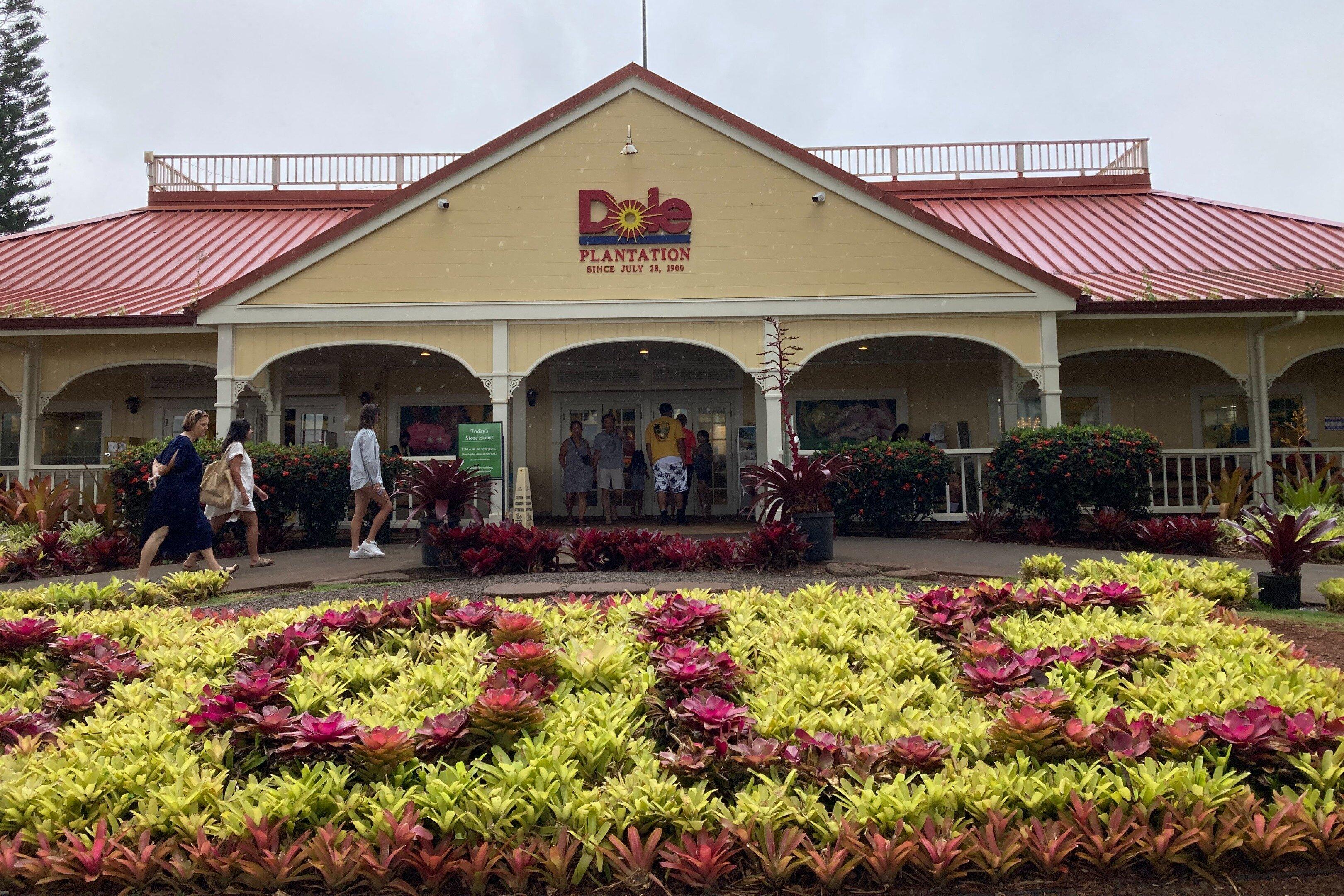 KAWIKA JOE'S LIMOUSINE HAWAII