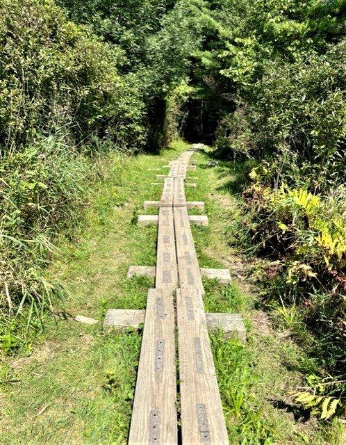 Colchester Pond Trail