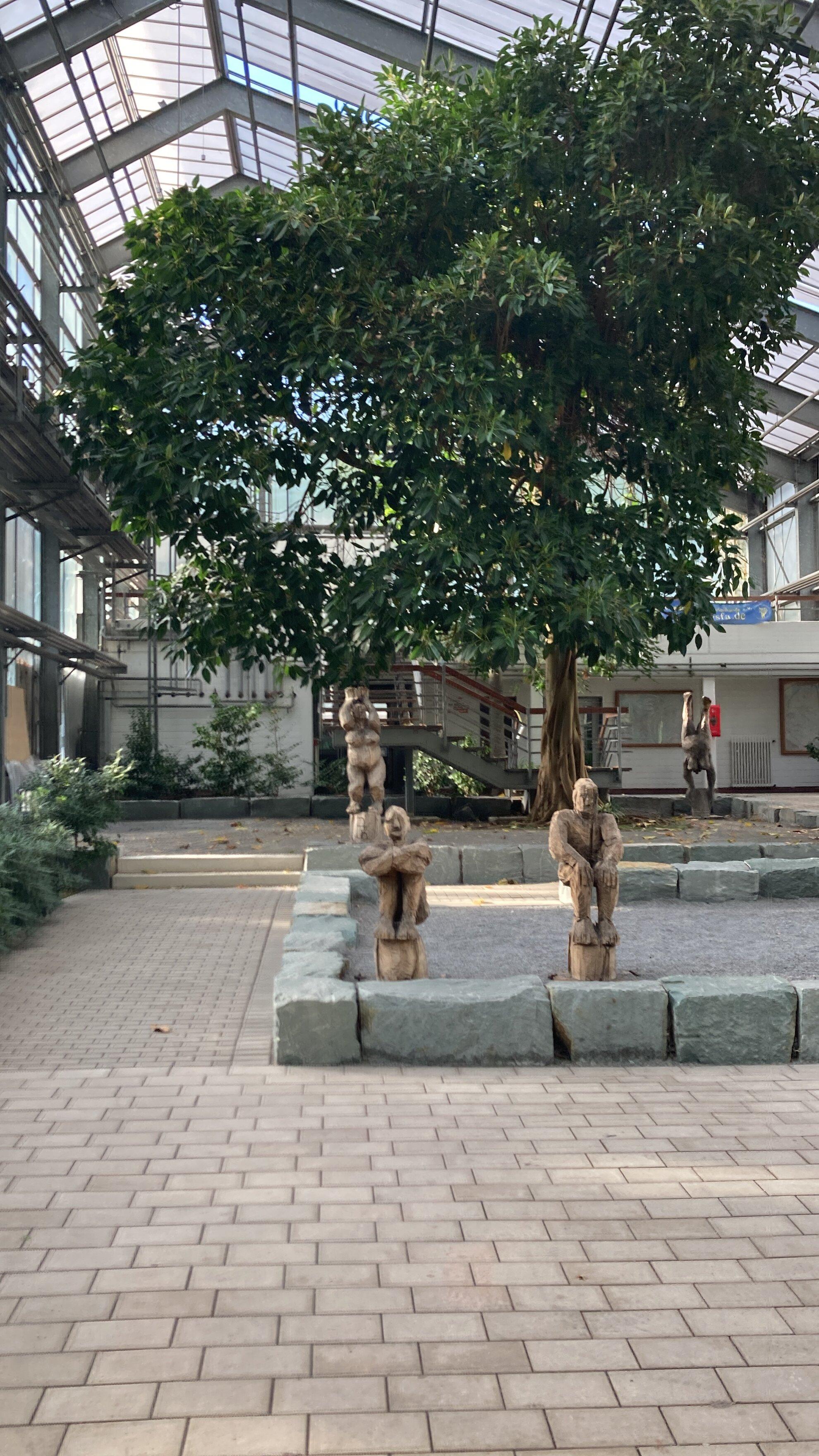 Botanischer Garten Hamborn