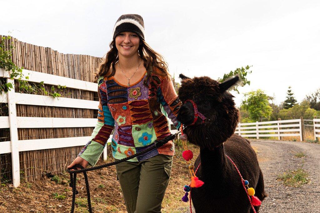 Maui Alpaca