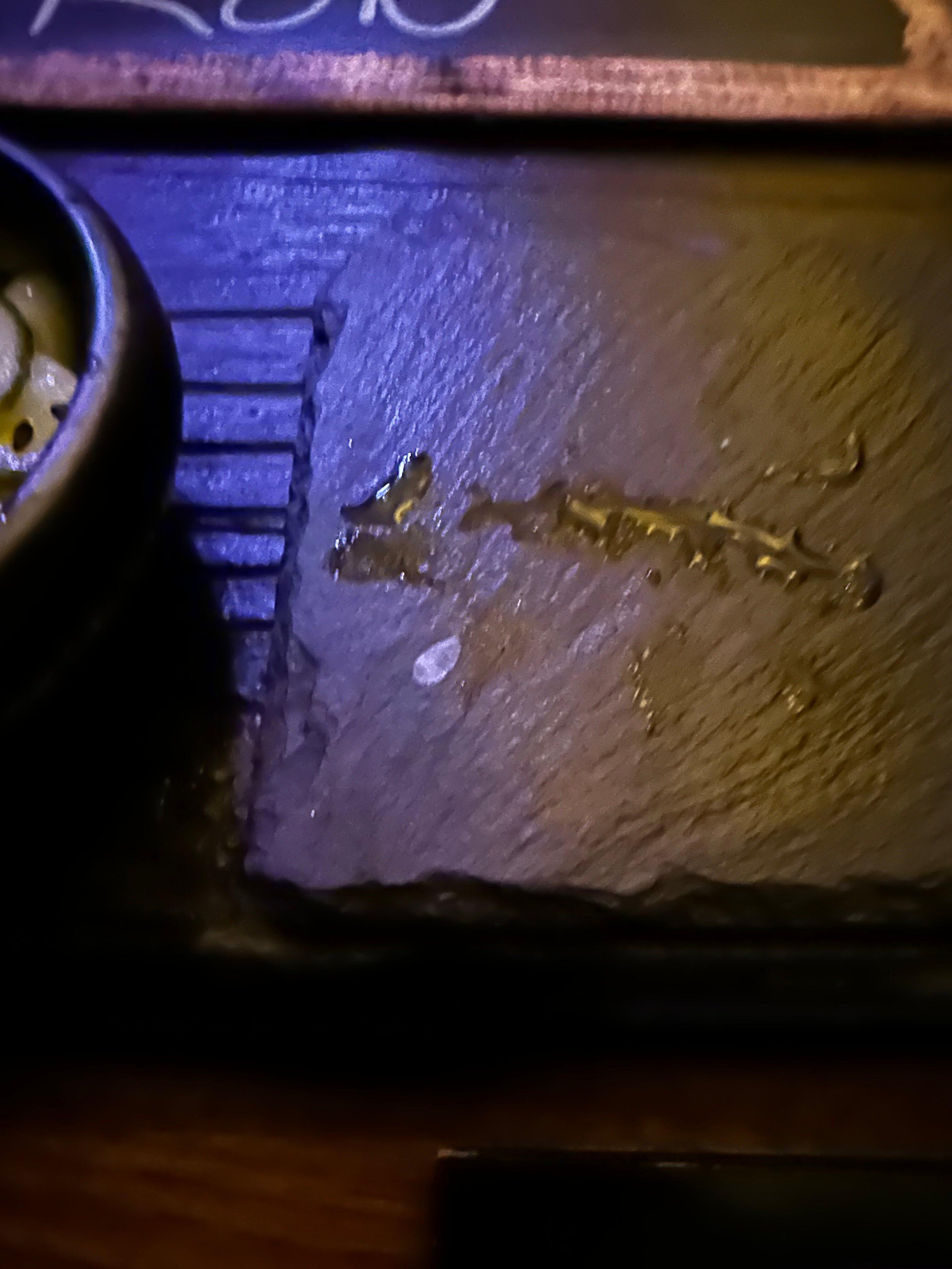 Sushi By Scratch