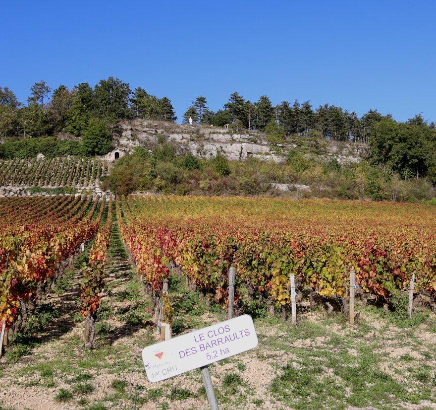 Les Sentiers Thématiques De Mercurey