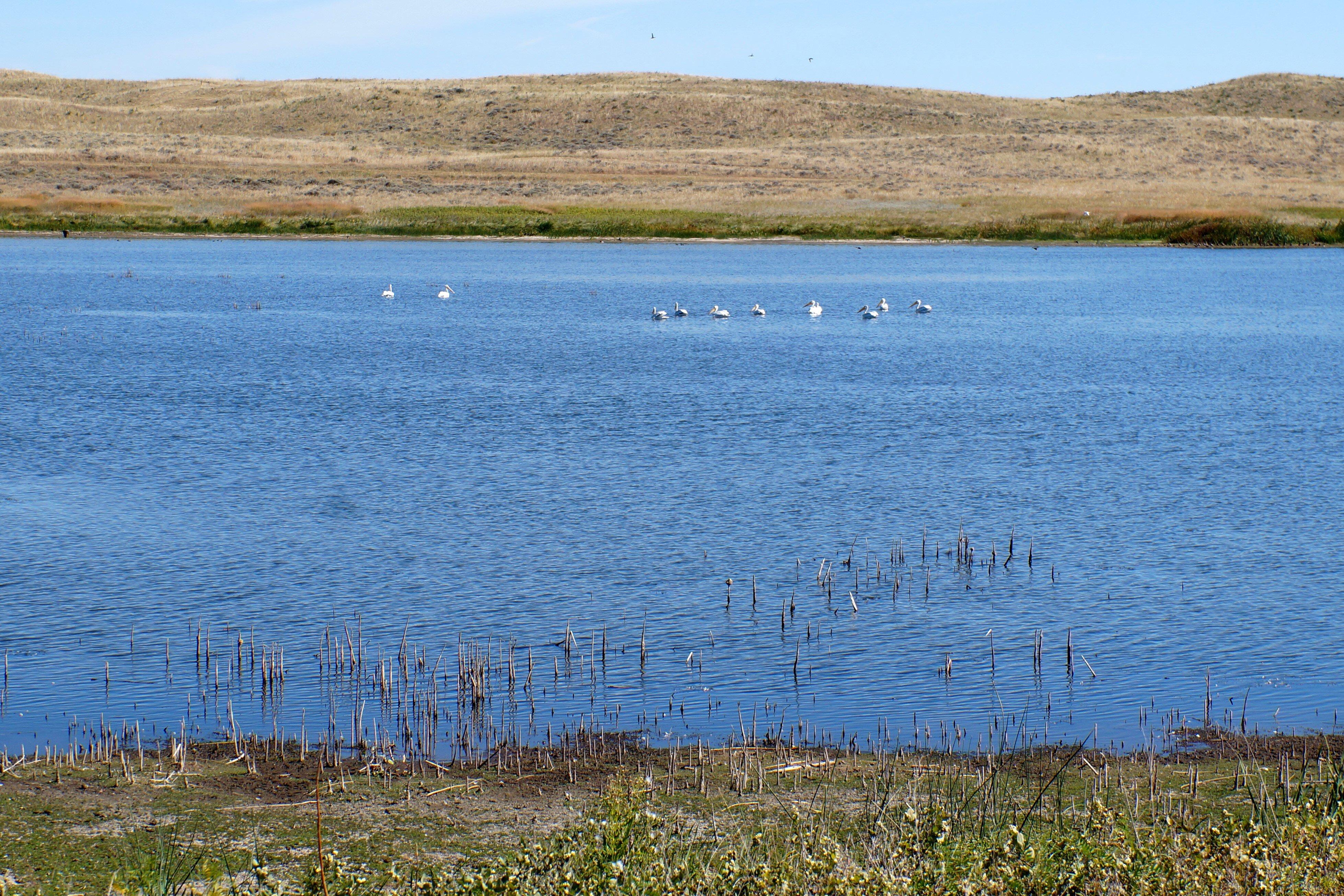 Photo by jinxminx888