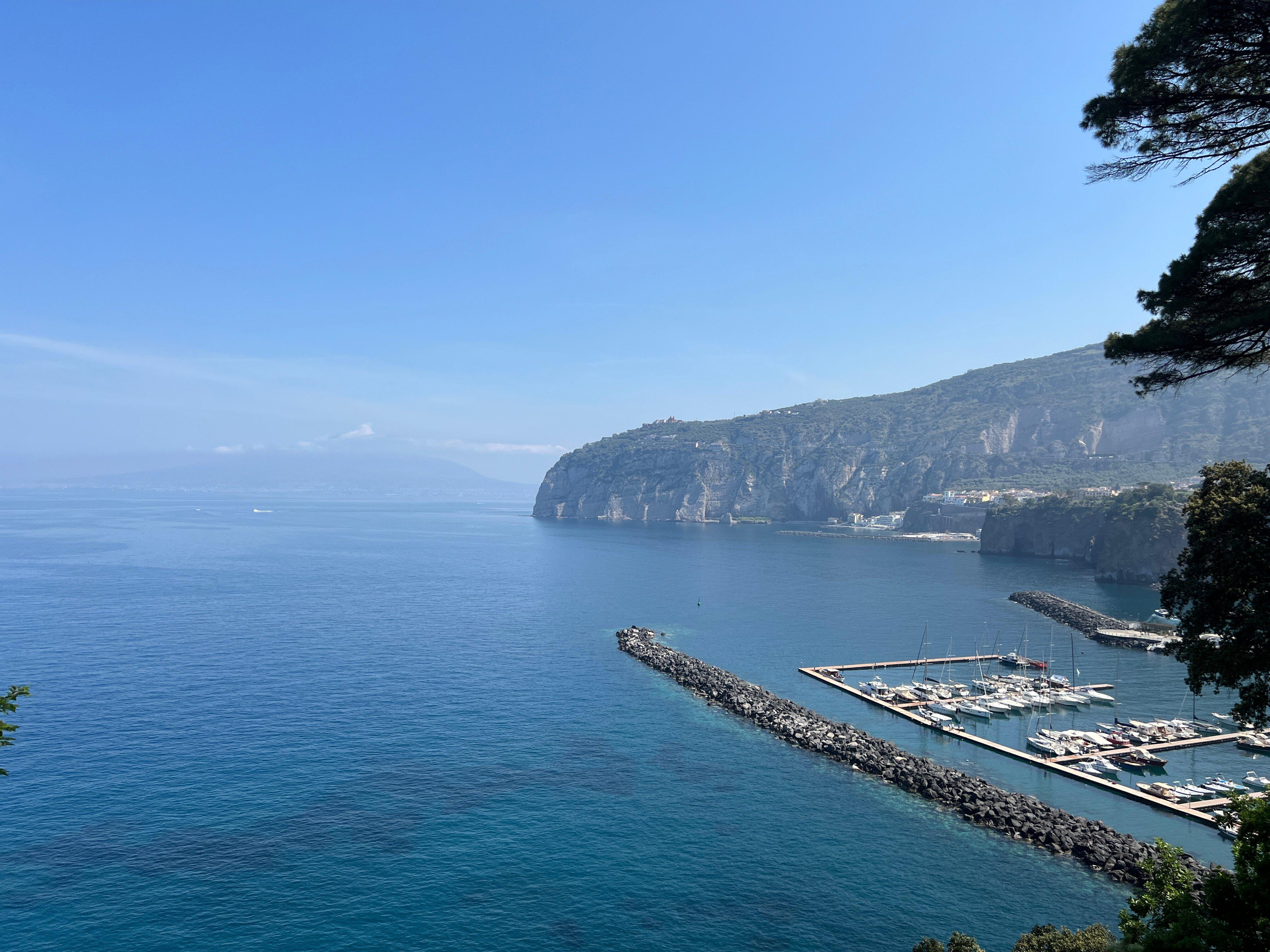 Vivaio Ruoppo - Sorrento Lemon Farm