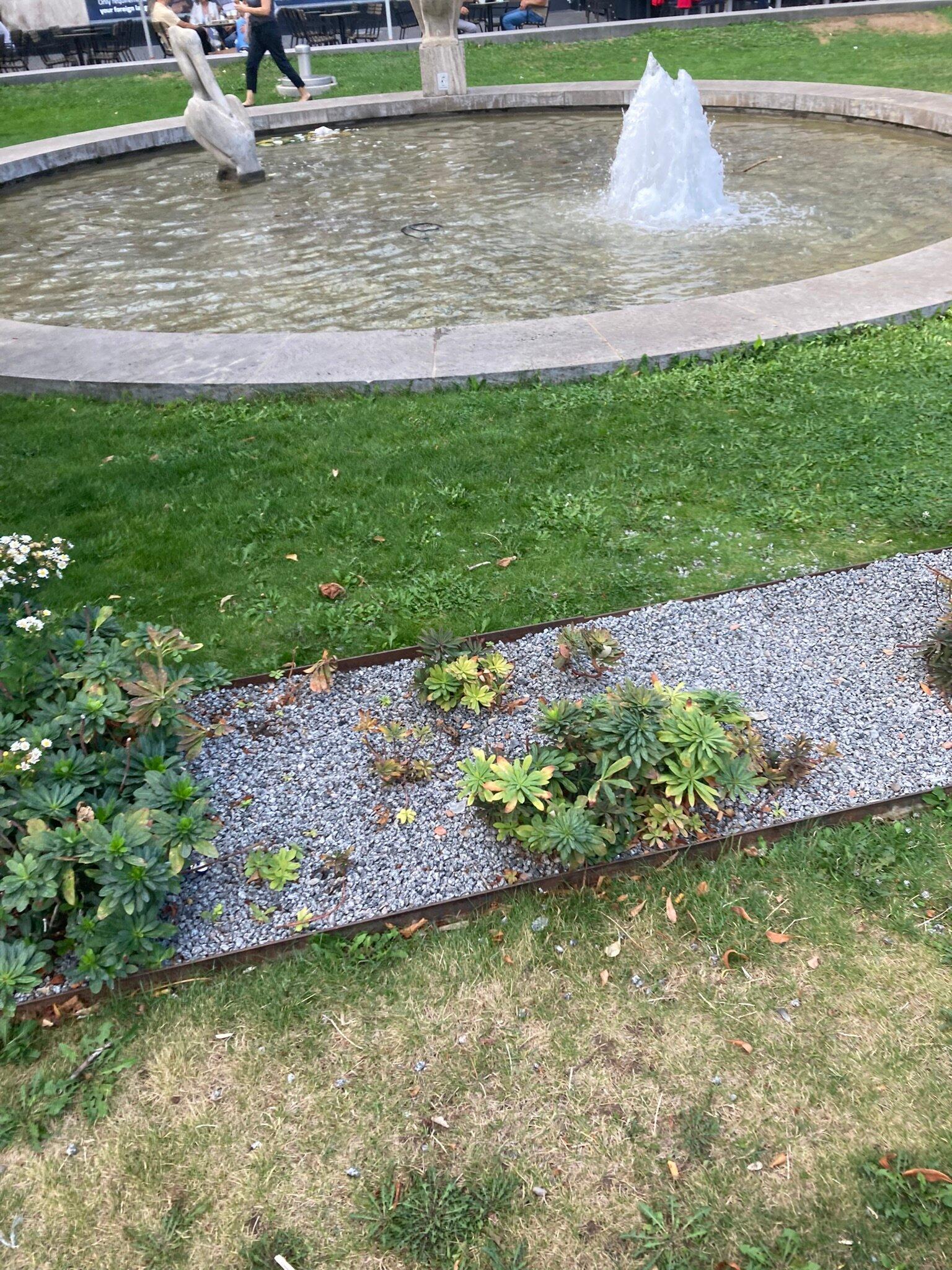 Friedrichsplatz Mannheim