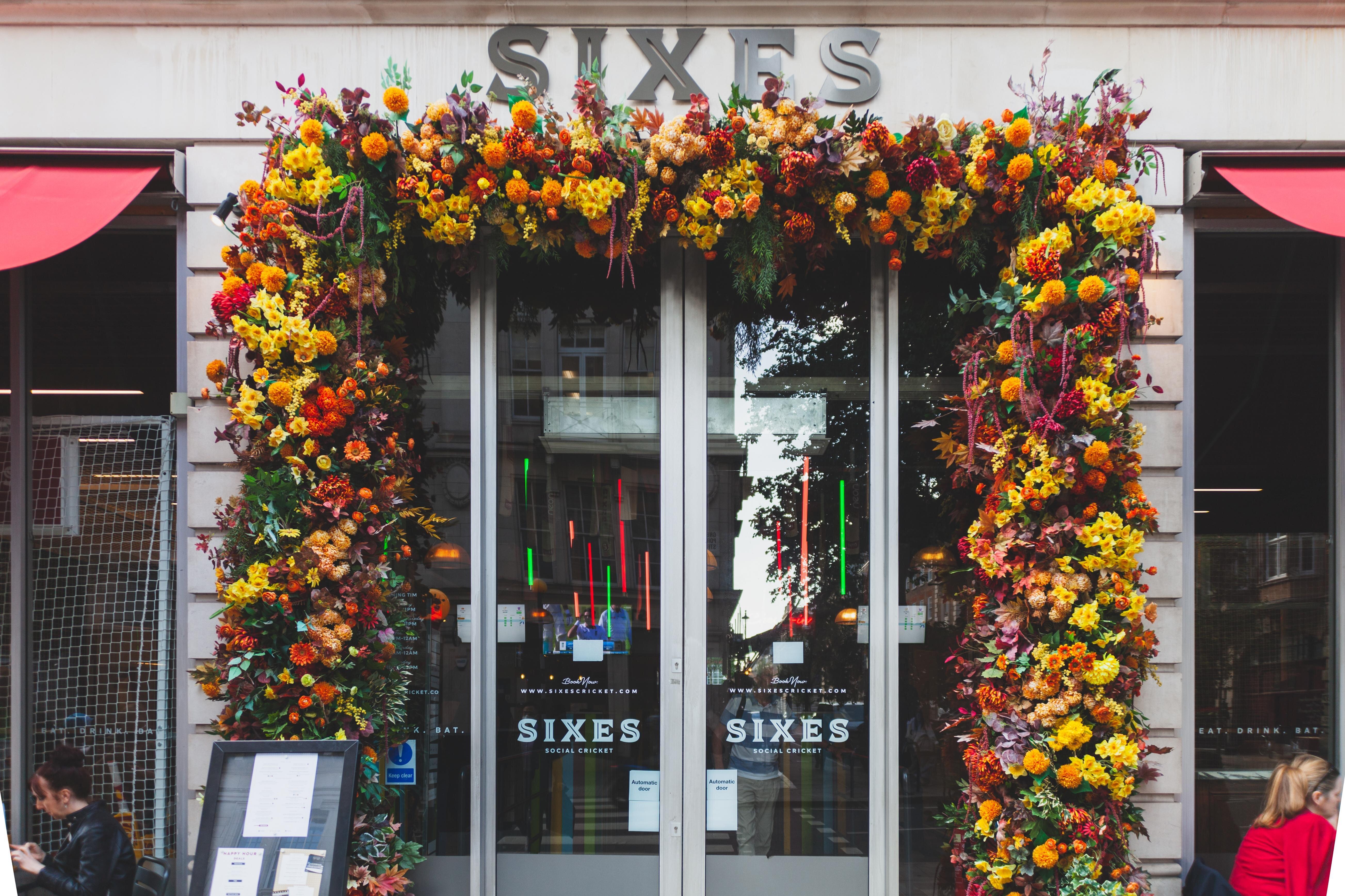 Sixes Social Cricket