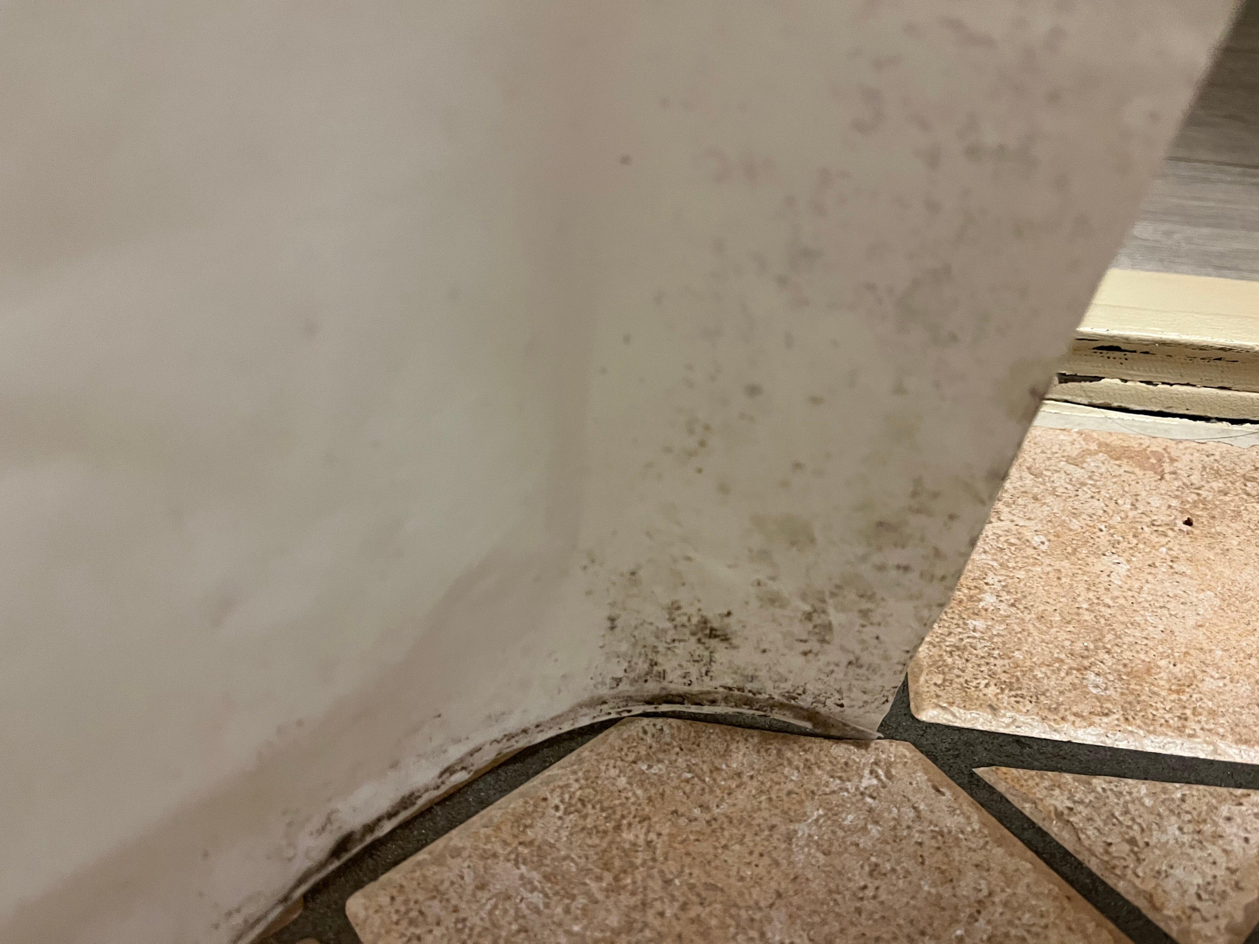 Photo by S8297OZsarak