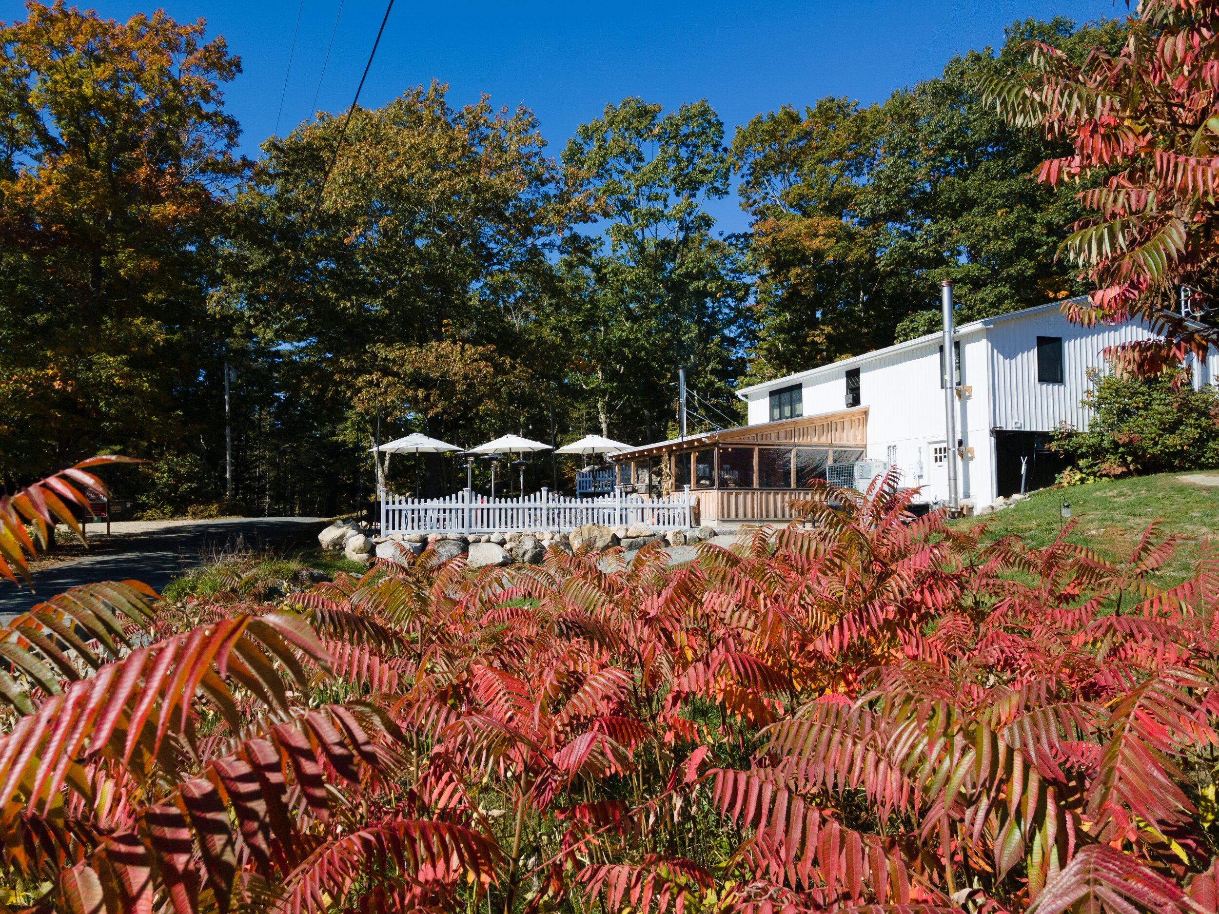 Strong Brewing & Kitchen