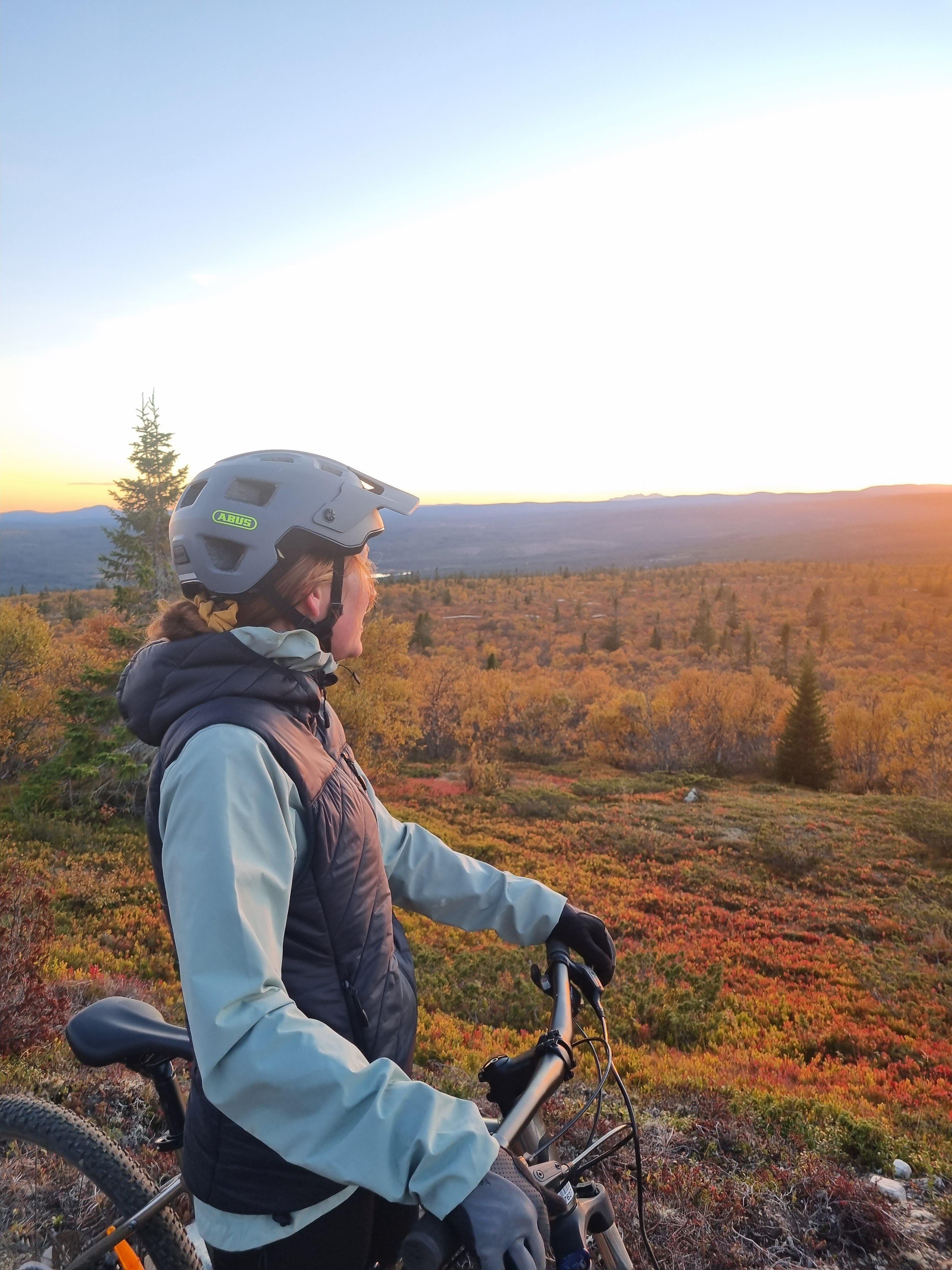 Lofsdalen Fjällpark MTB