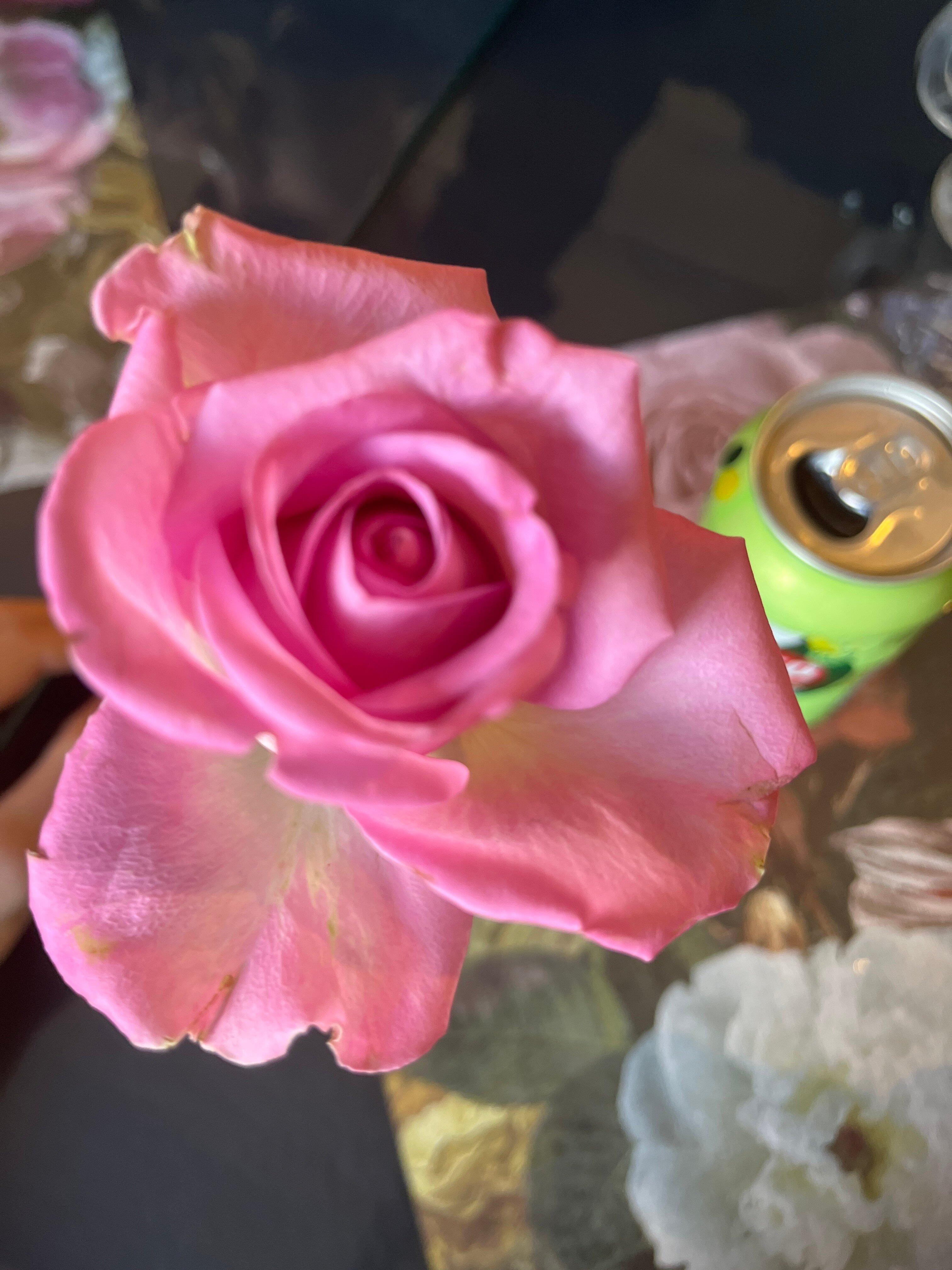 Morley Nurseries & Tearoom