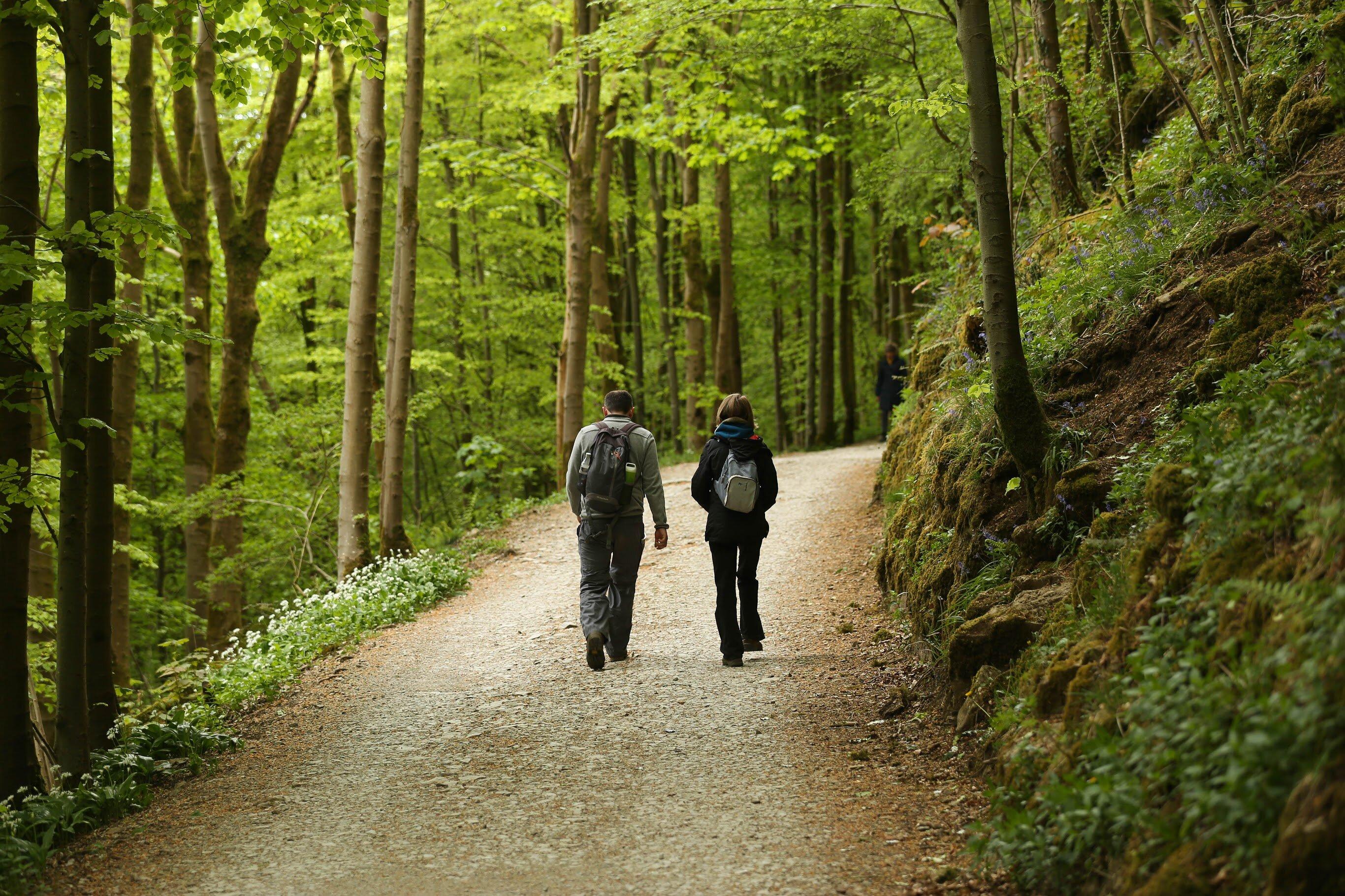 Ingleborough Estate Nature Trail