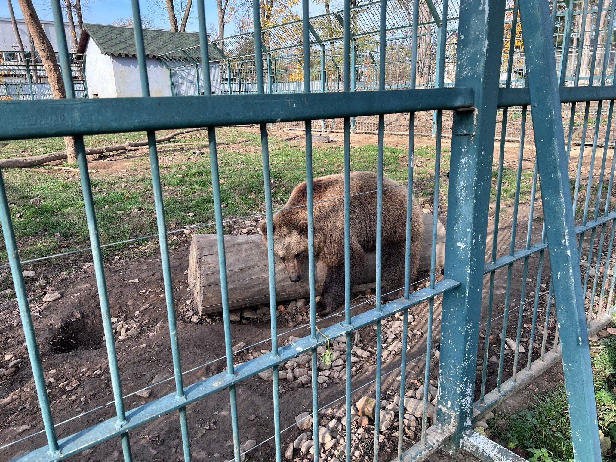 Parcul Zoologic Radauti