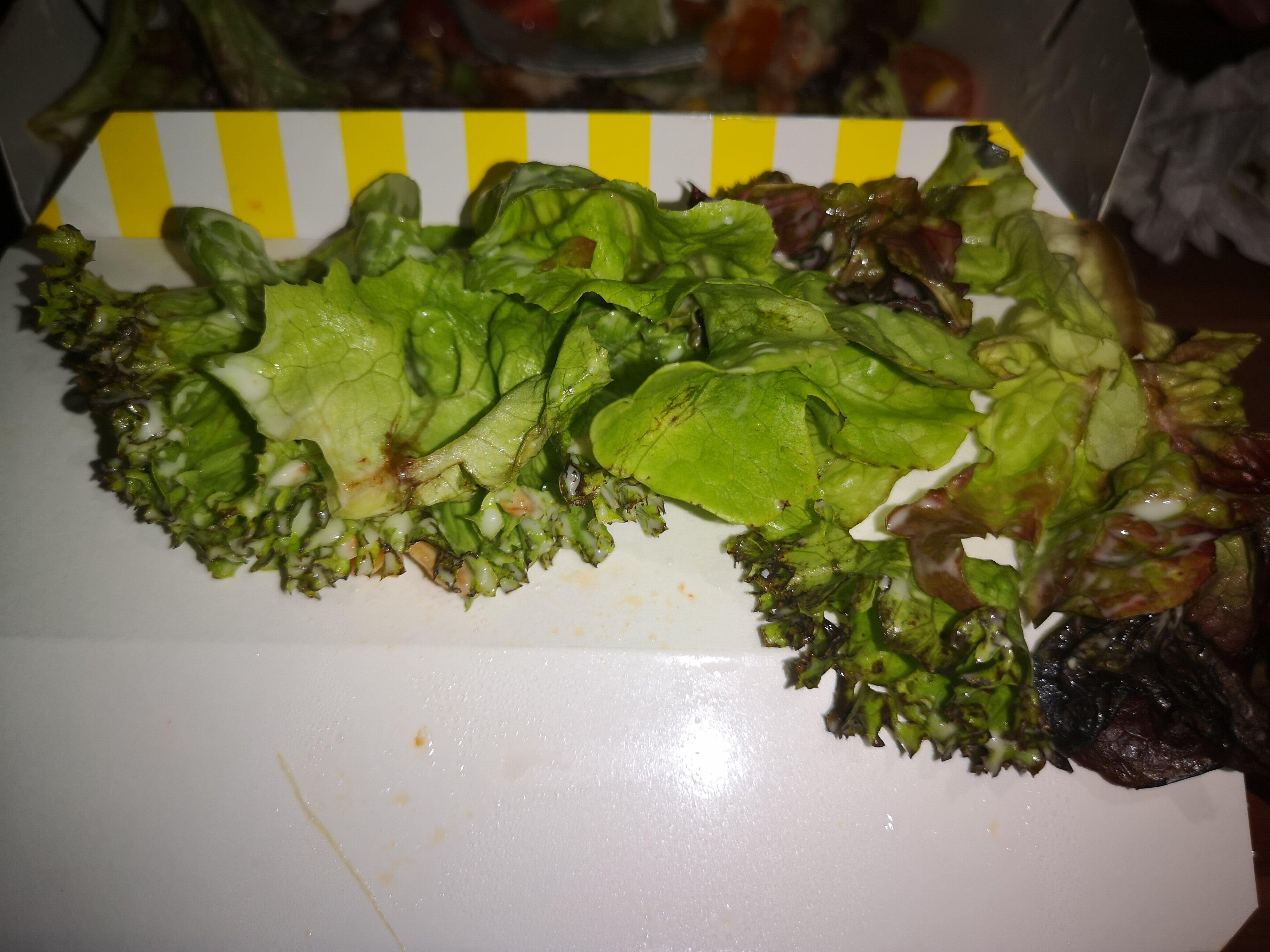 Photo by O7944YOtomb