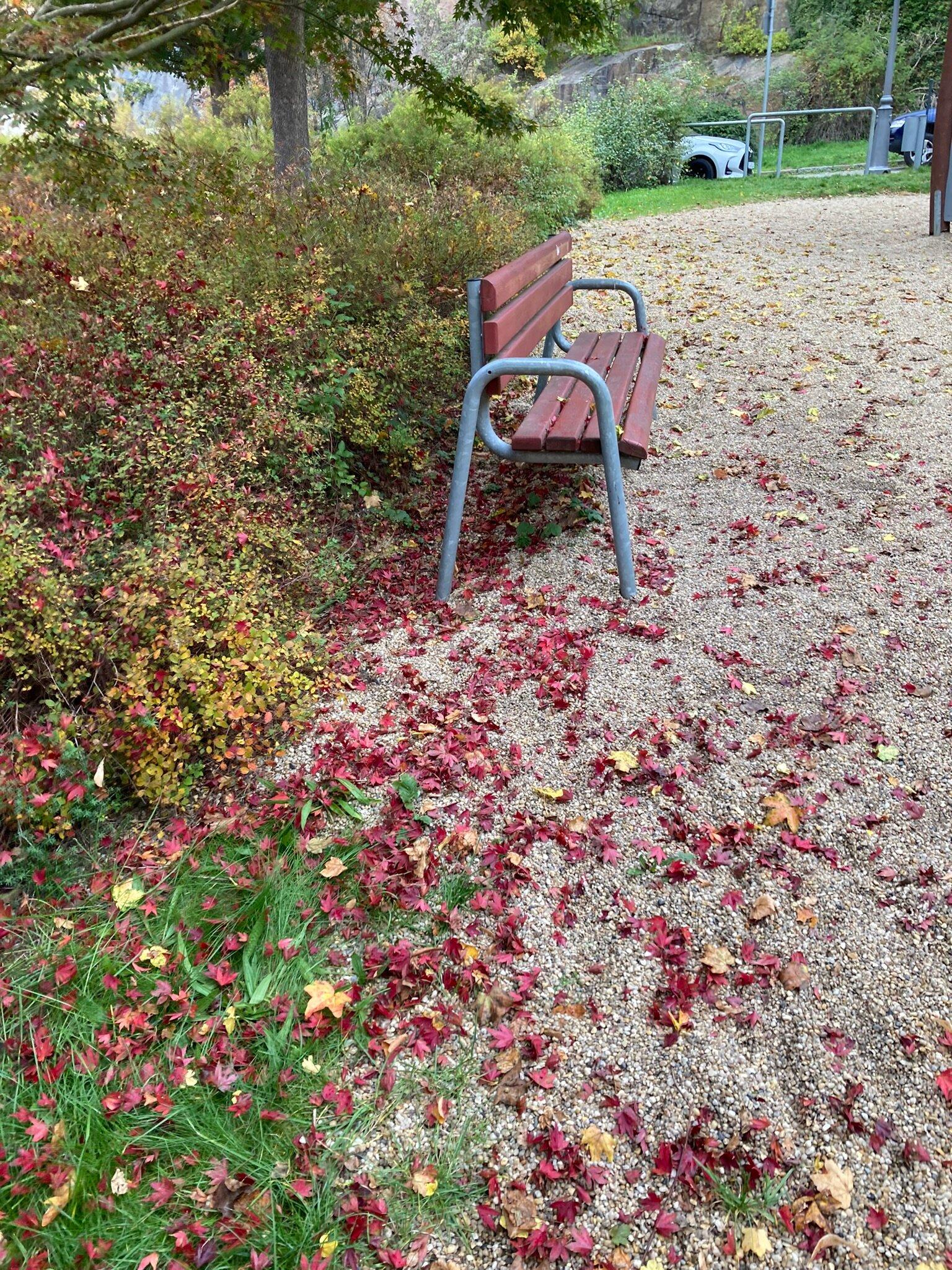 Spielplatz Vor Der Fischerpforte