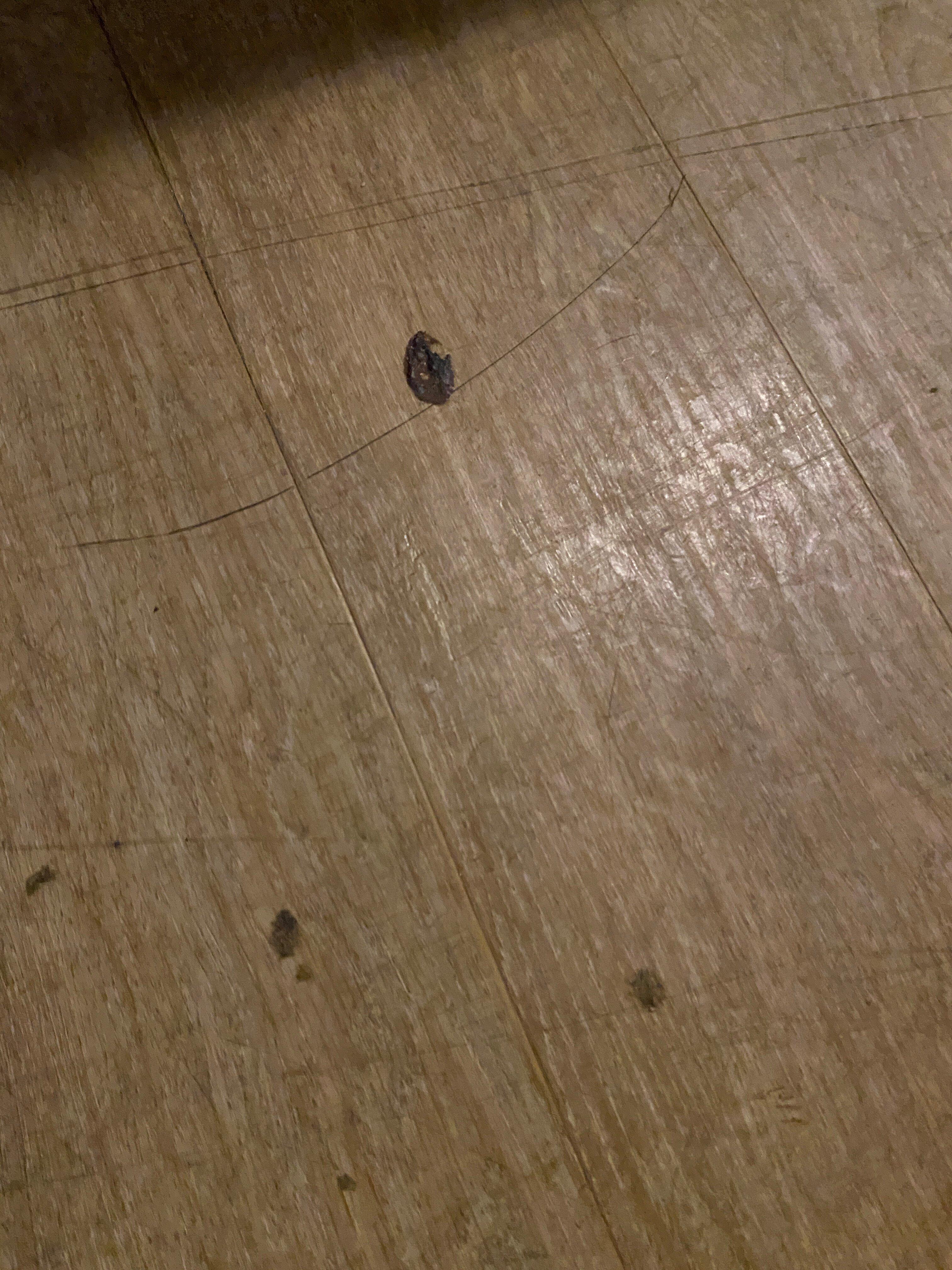 Photo by piasT7819PK