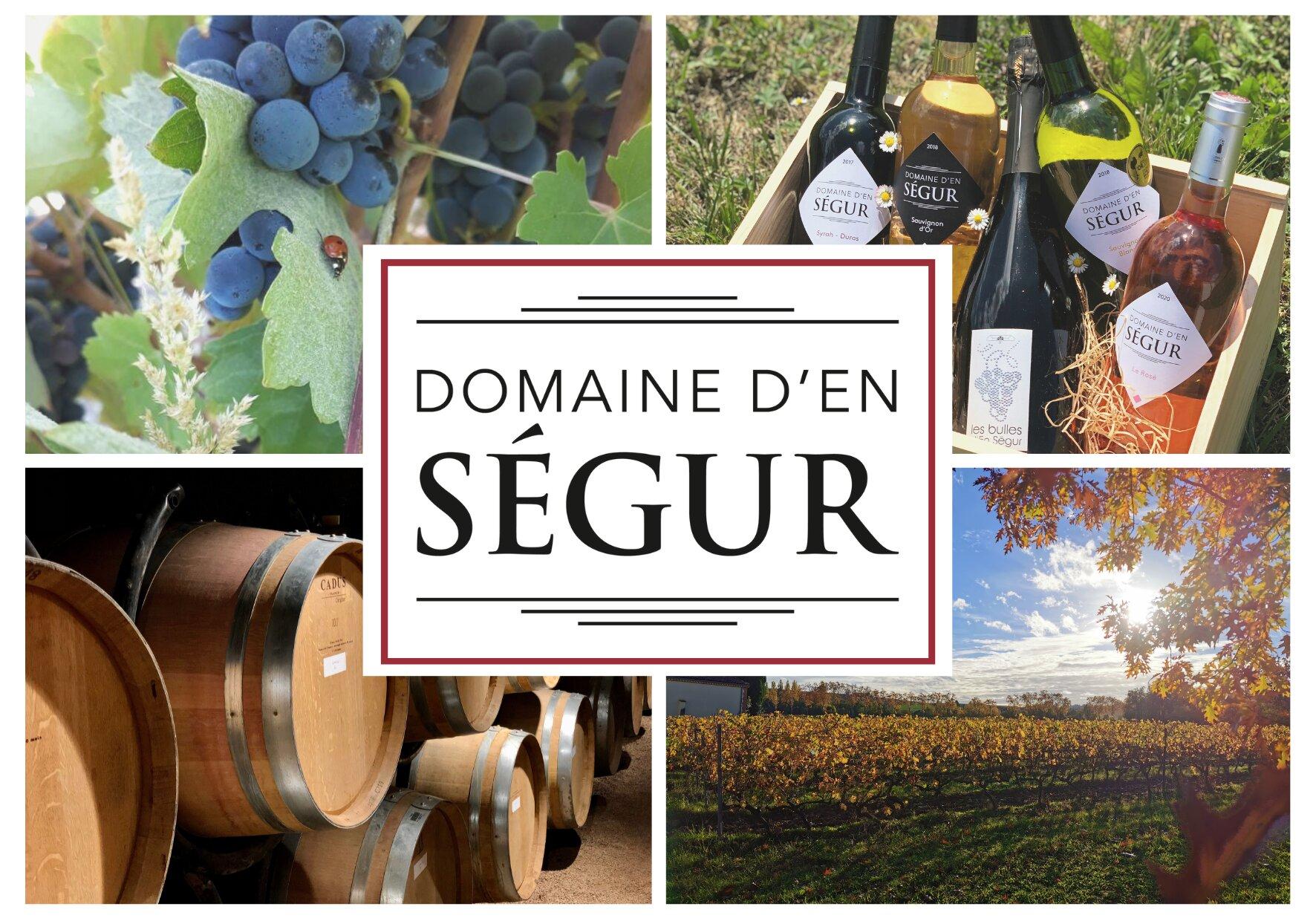 Domaine D'en Segur