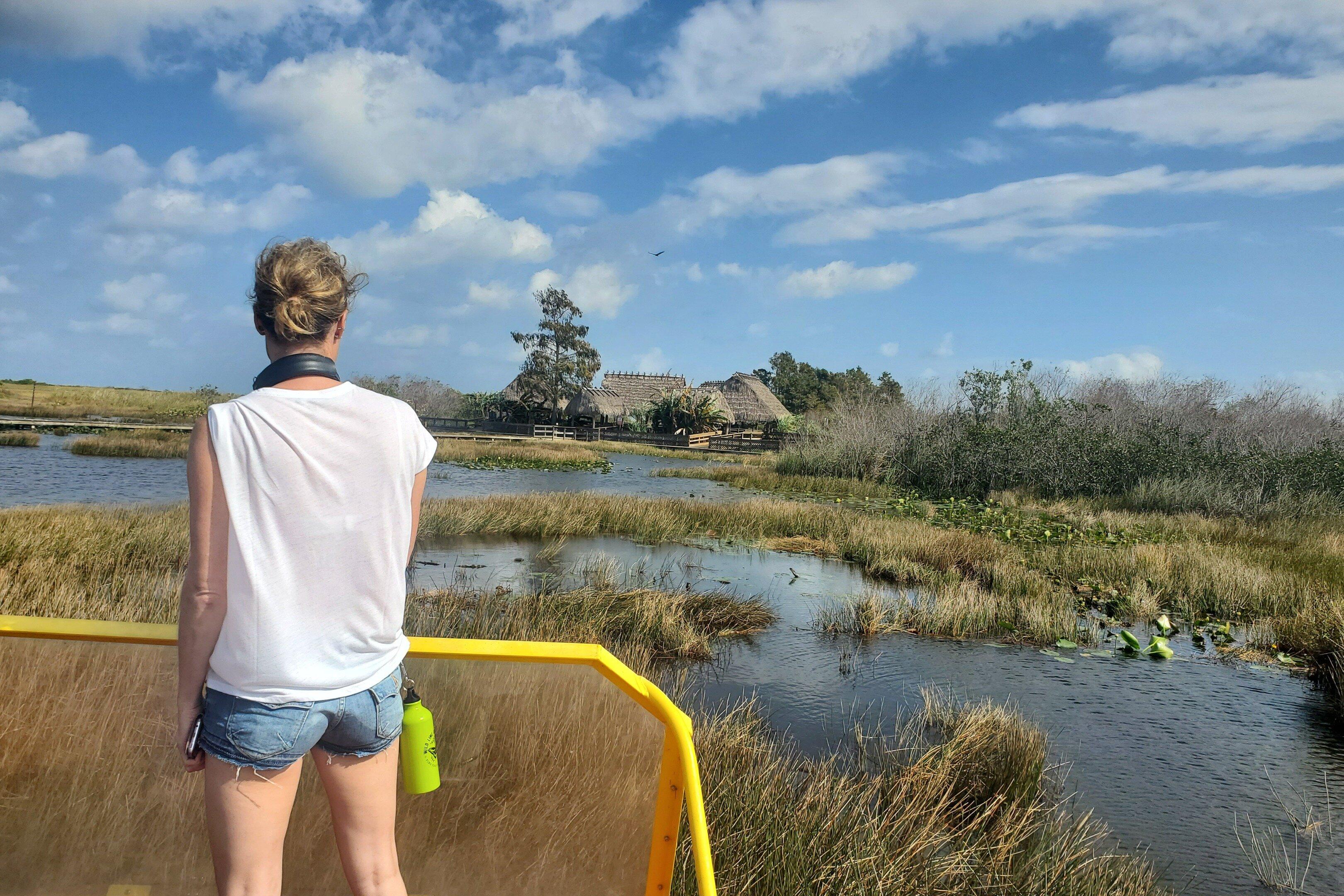 Wild Lime Adeventures