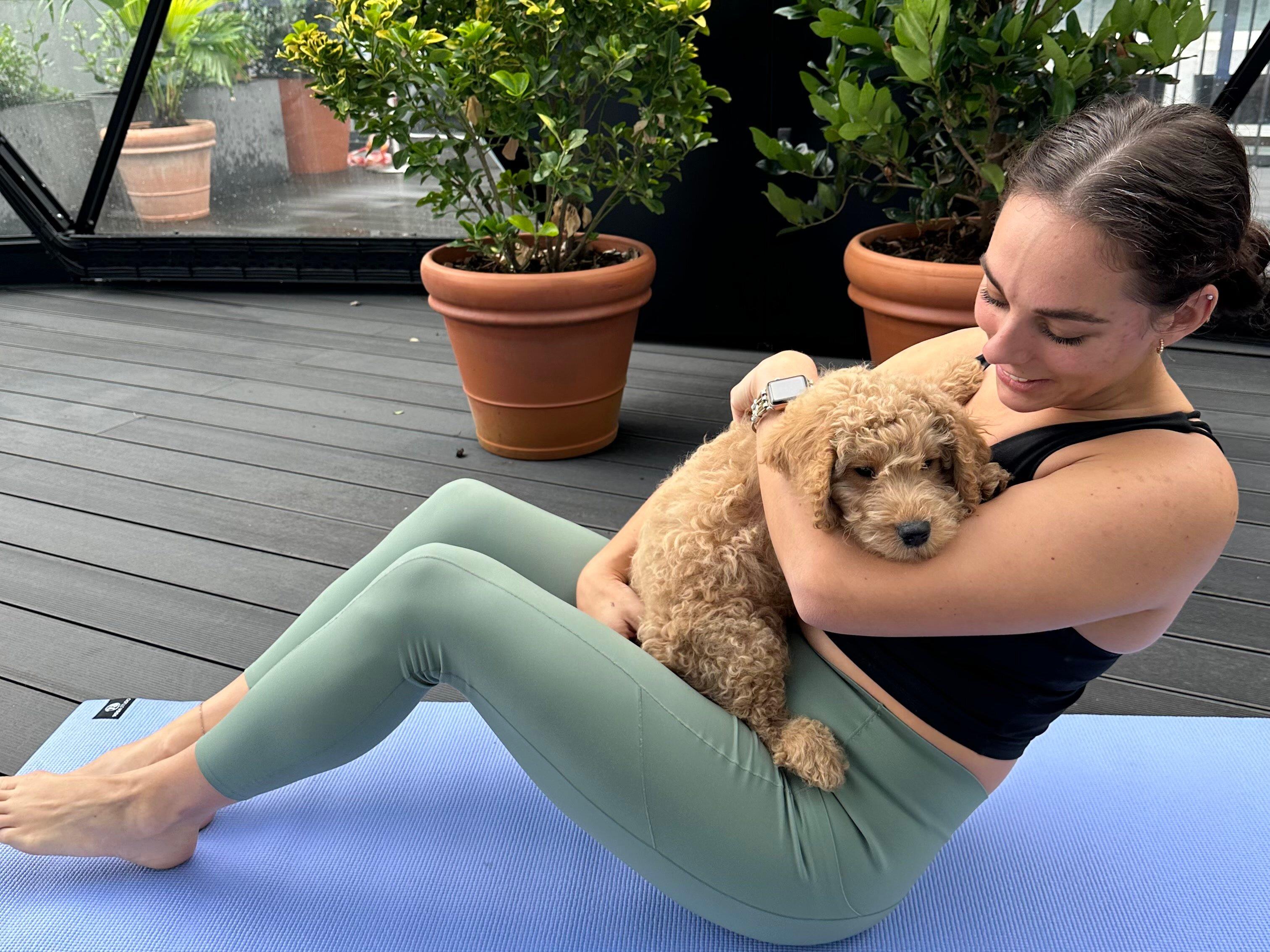 Manchester Puppy Yoga - Paws Yoga