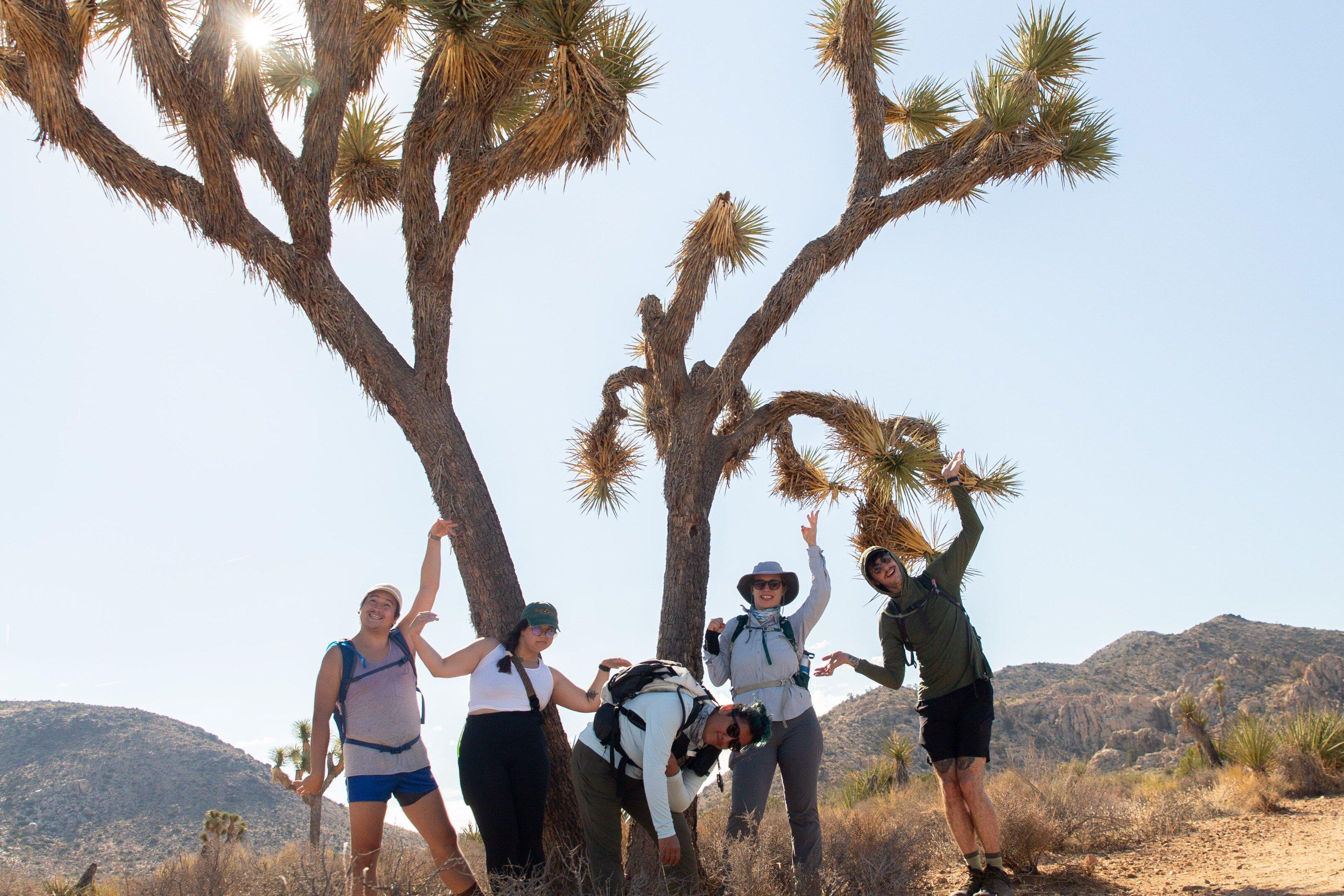 Good Trip Adventures Joshua Tree