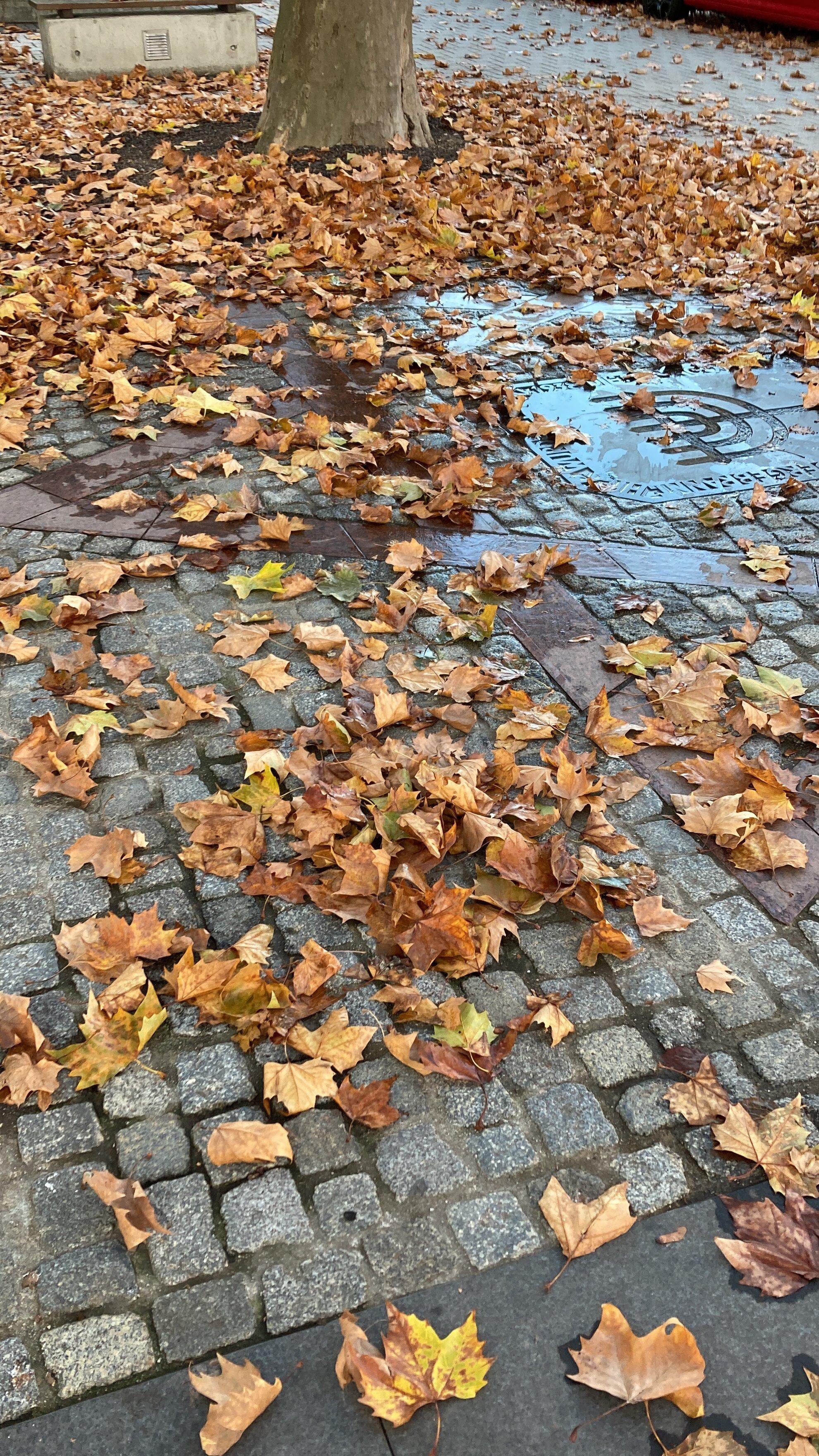 Ehemalige Orthodoxe Synagoge