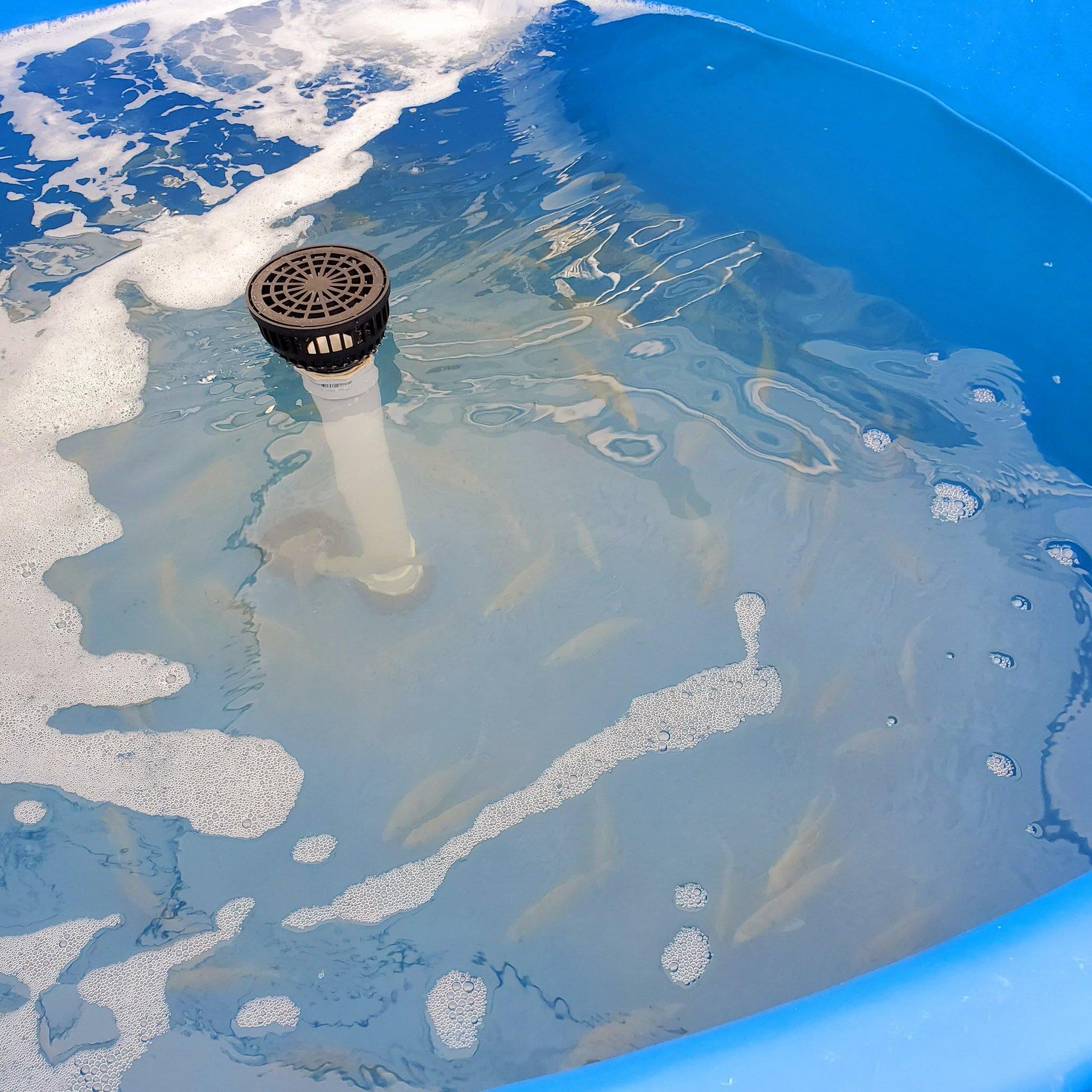 Keys Maritime Specialty Bait & Seafood