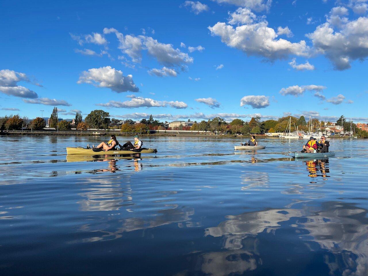 Launceston Kayak Tours