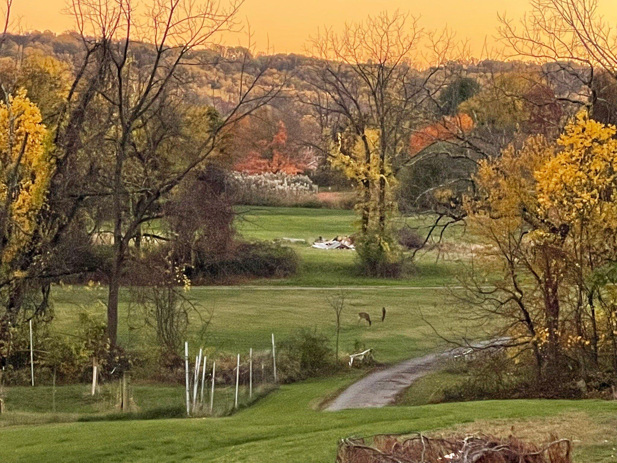 Photo by julierD3646YH