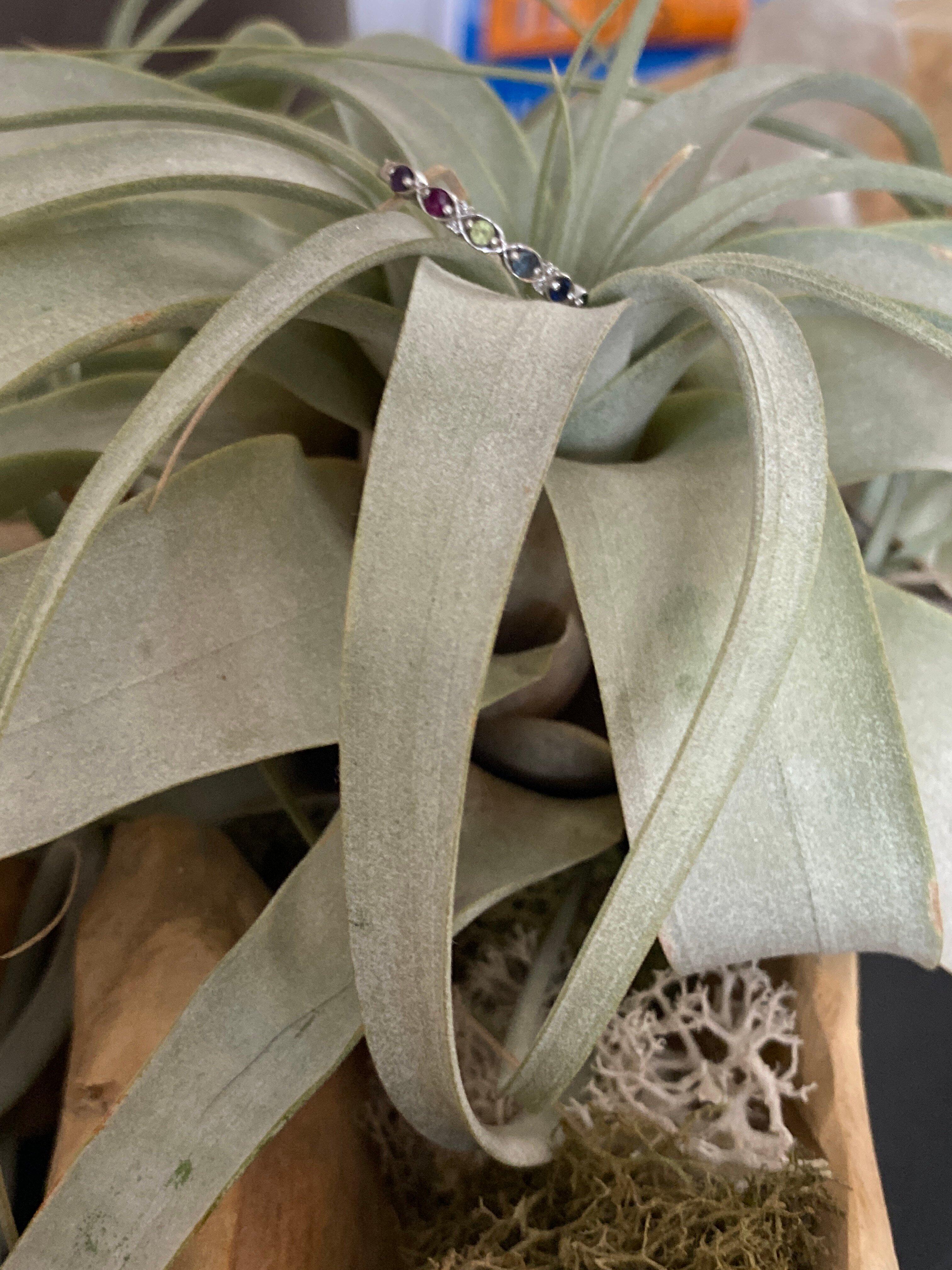 Photo by Y2331JMtammym