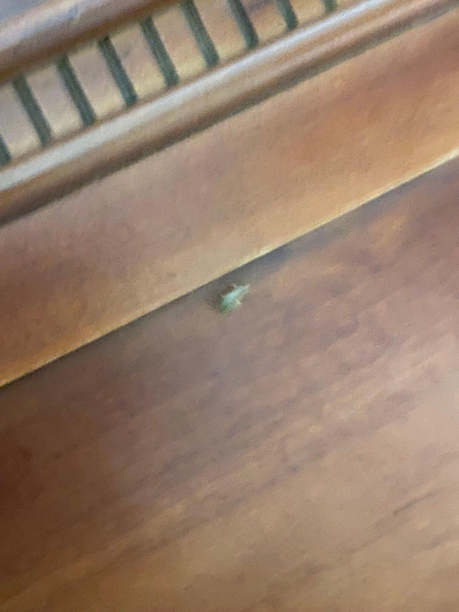 The Hotel at Dayton South