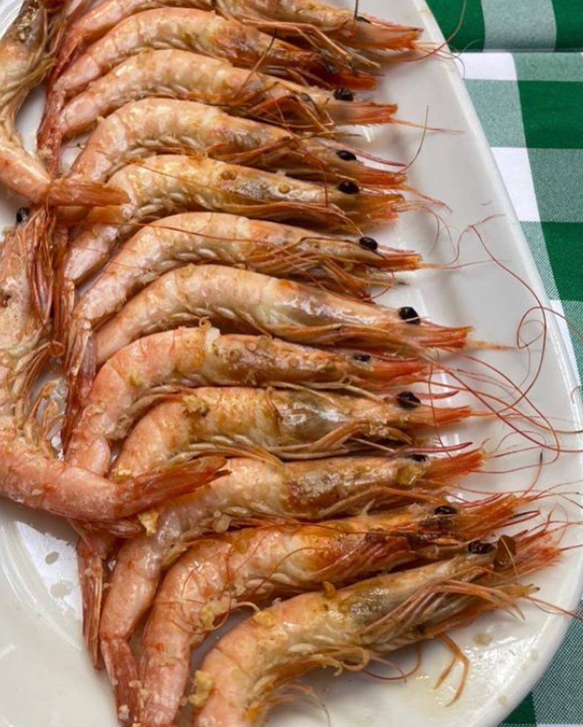 Boga Boga Taberna Premium