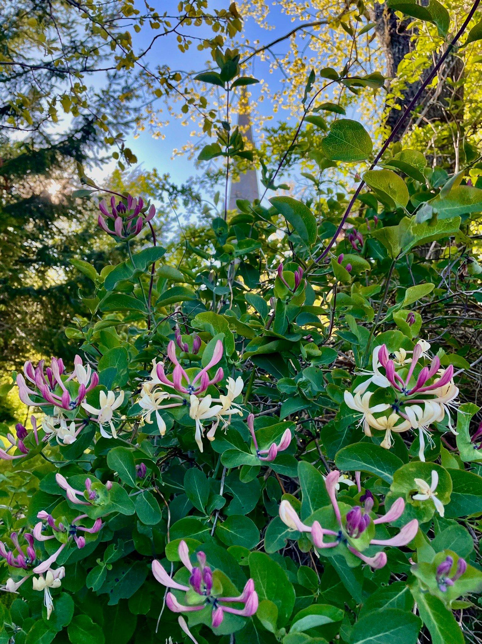 Braemar Parish Church