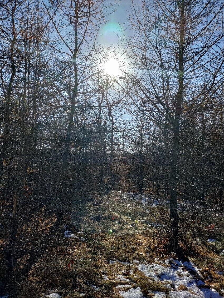Kingsley Bend Indian Mounds Wayside