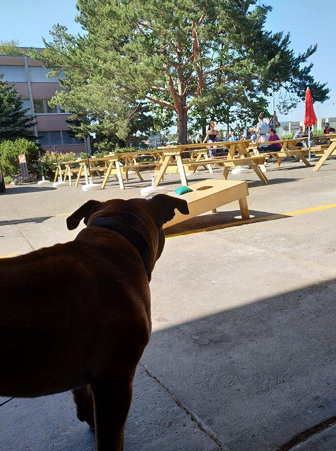 St. Laurentius Craft Beer