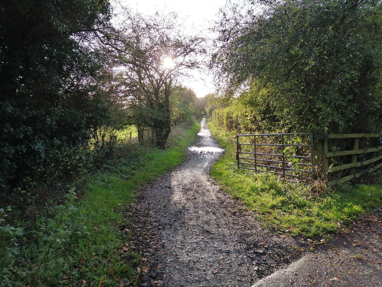 Skirlaugh To Ellerby Disused Rail Walk