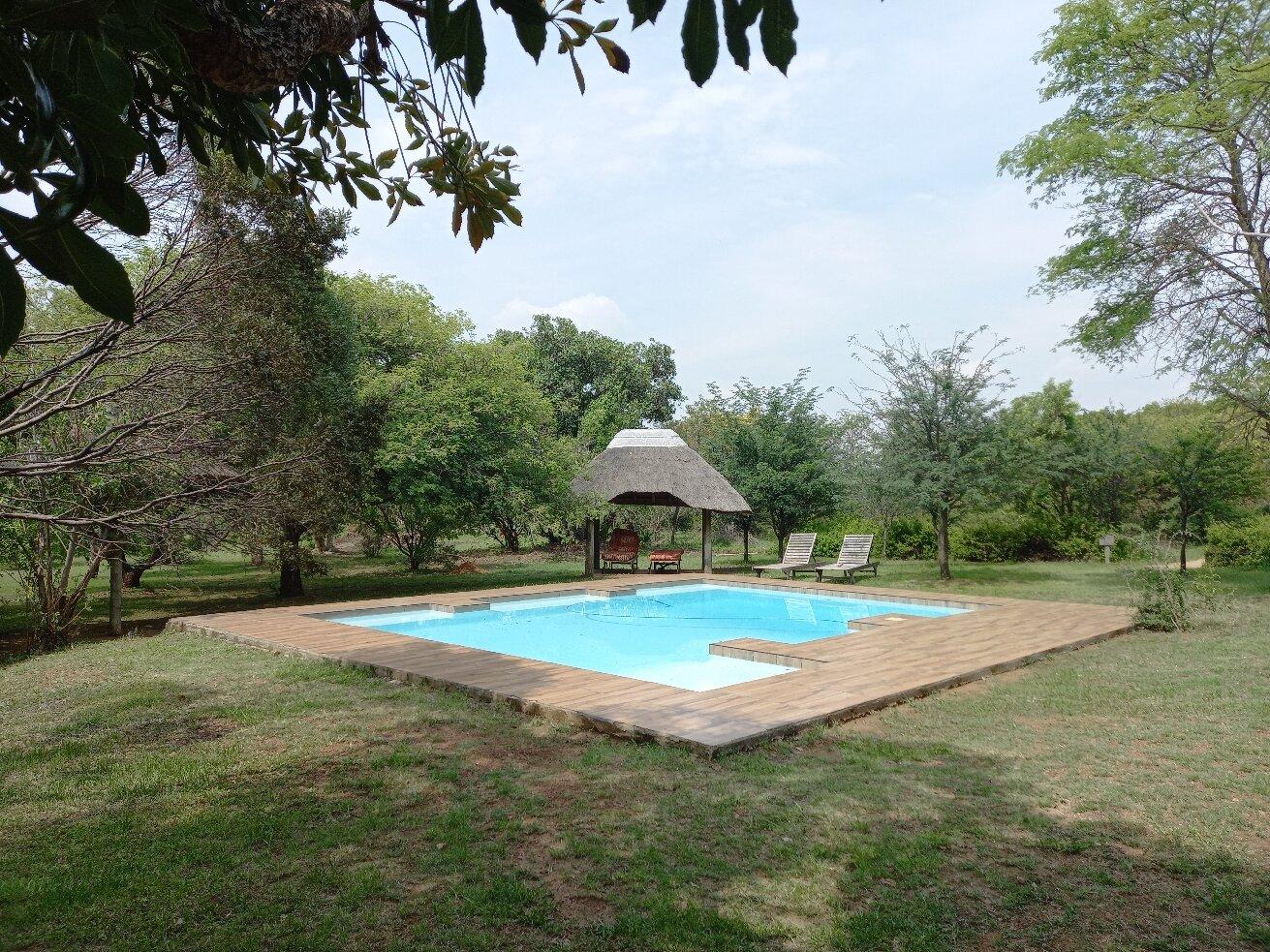 Lion and Cheetah Sanctuary