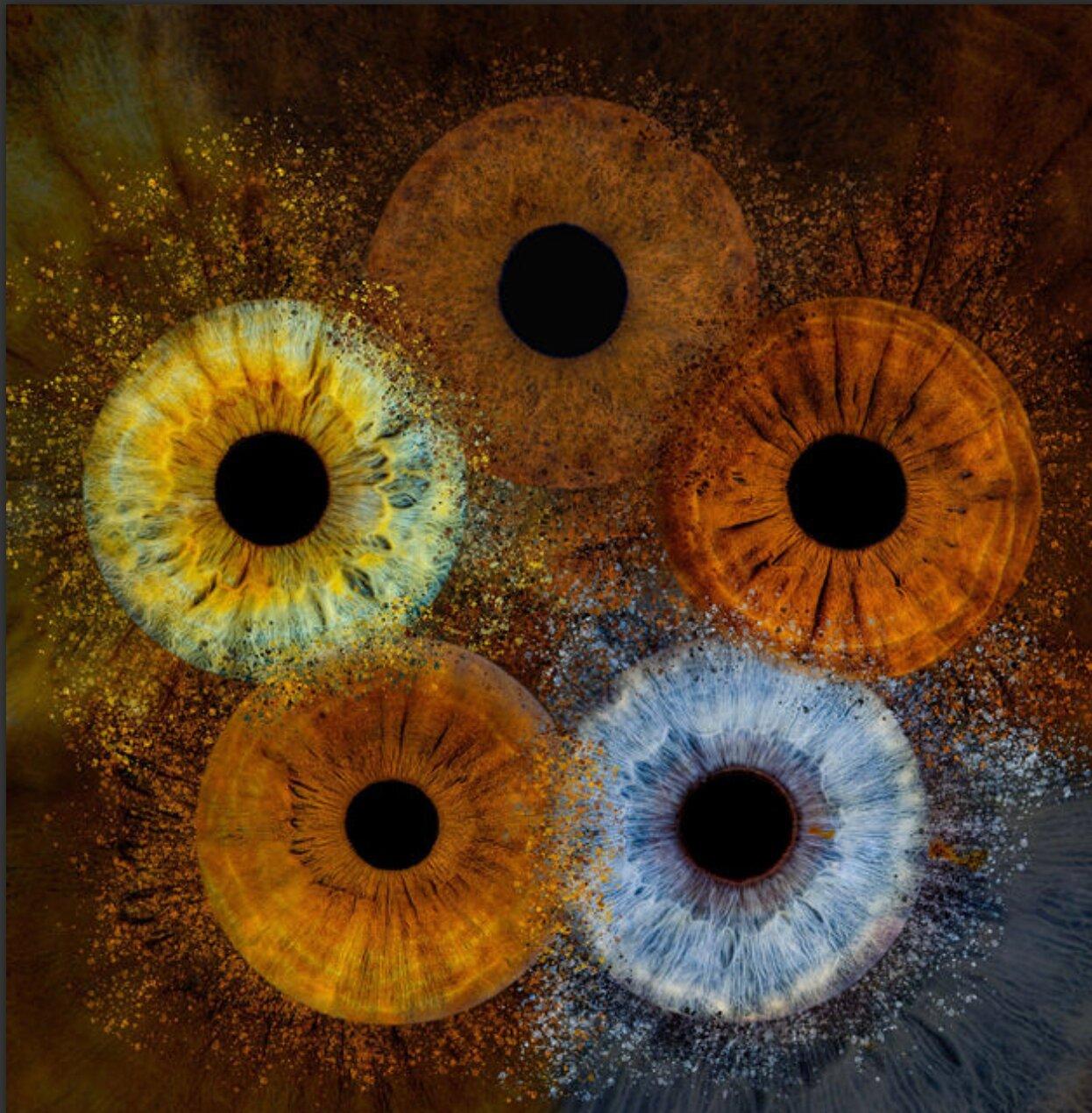 Iris-fotografie-Nürnberg